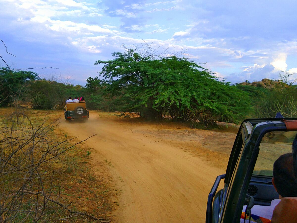 Thour Nature Resorts