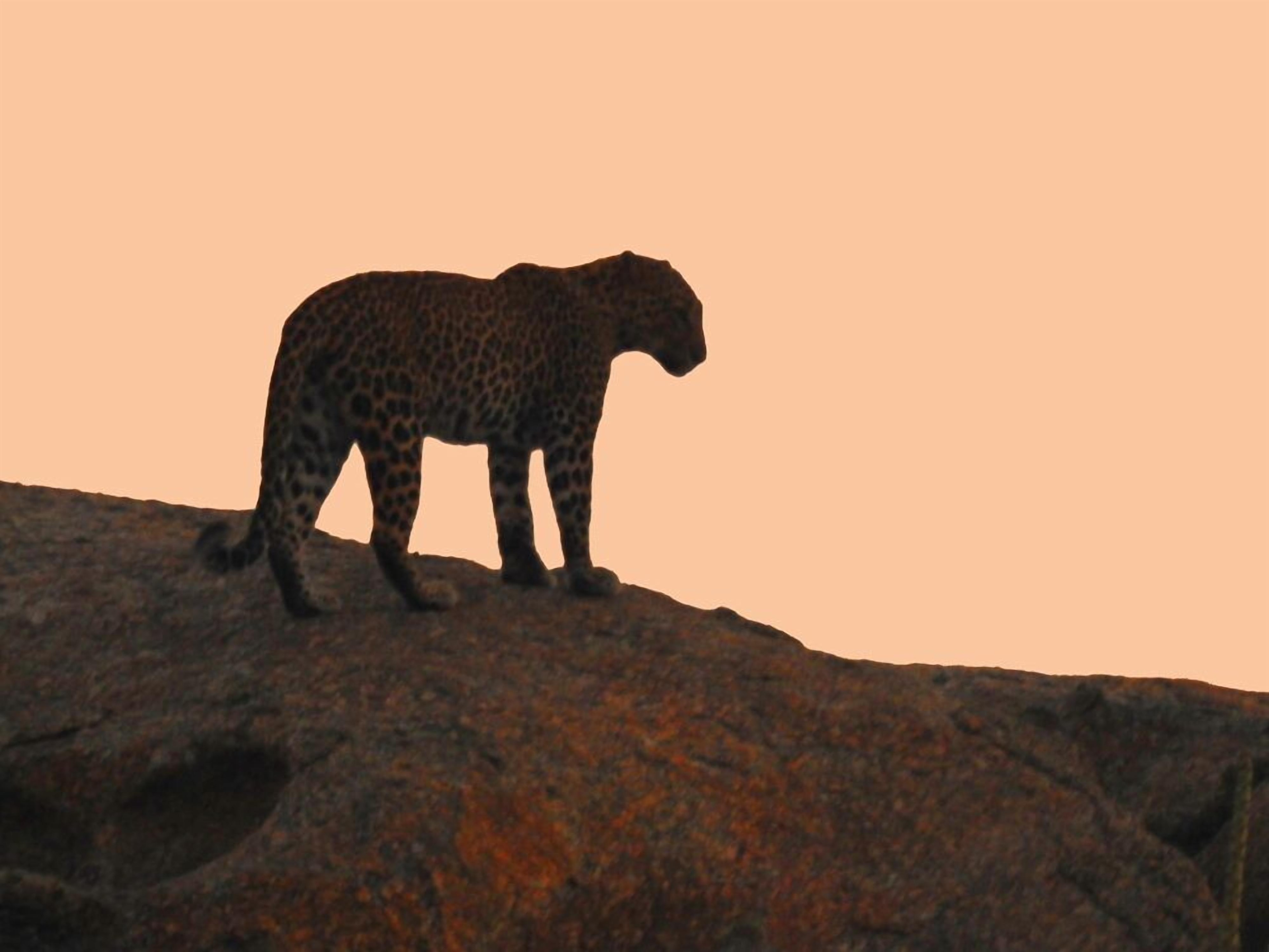 Thour Nature Resorts