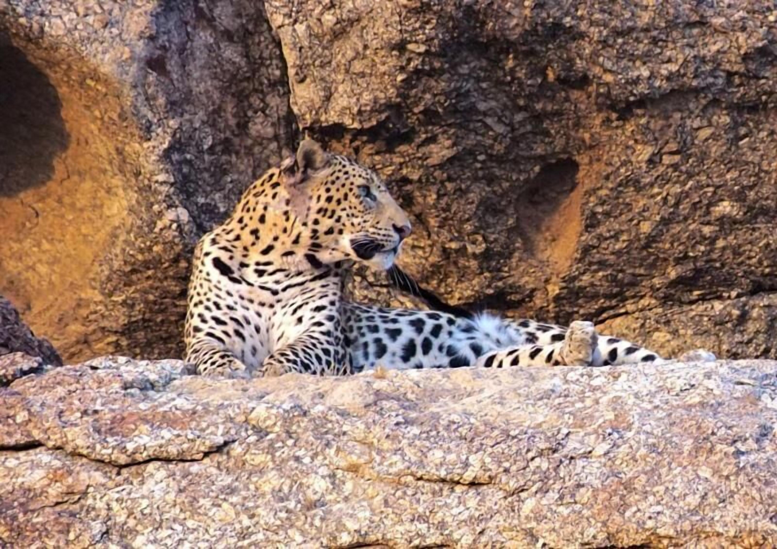 Thour Nature Resorts