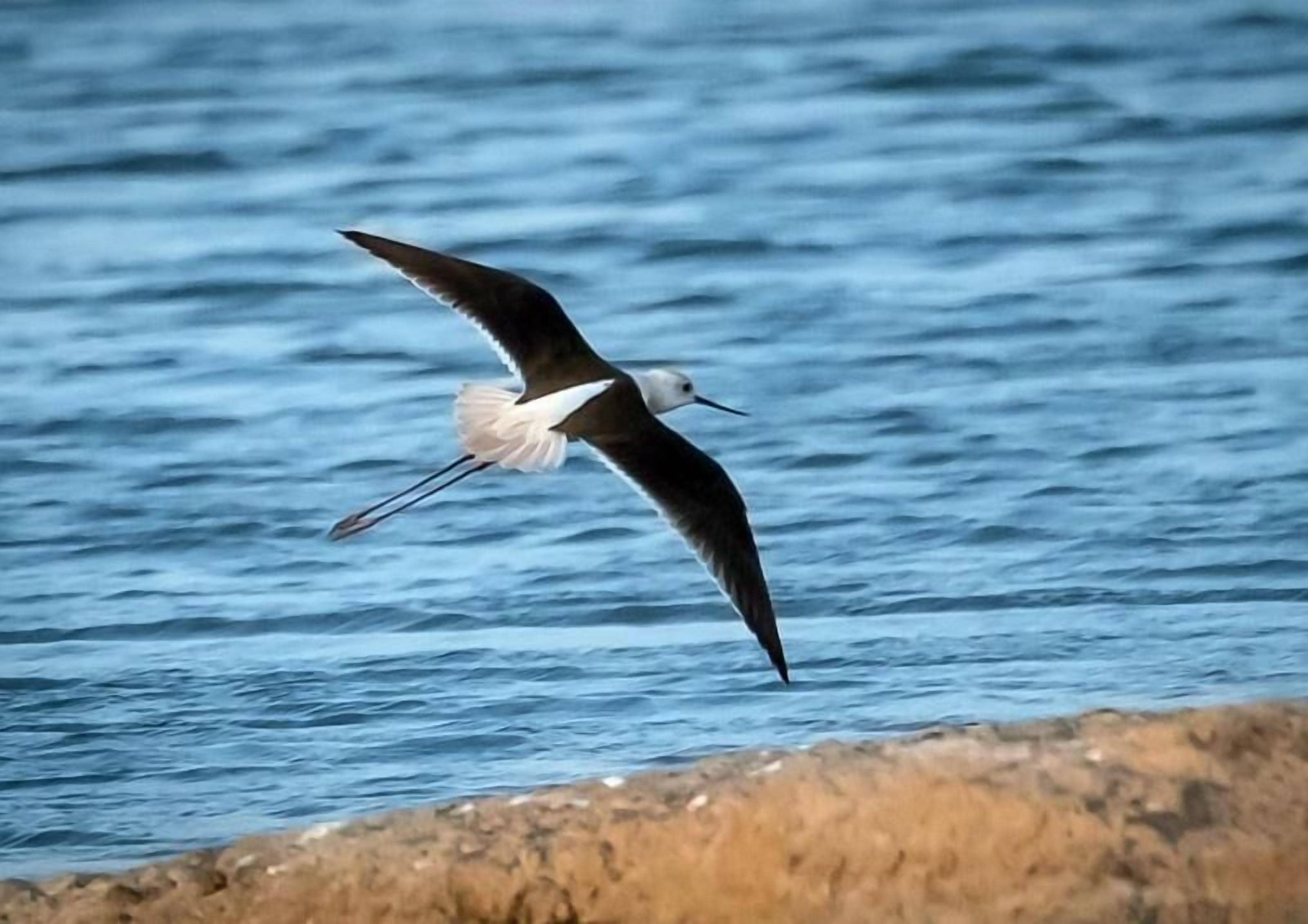 Thour Nature Resorts