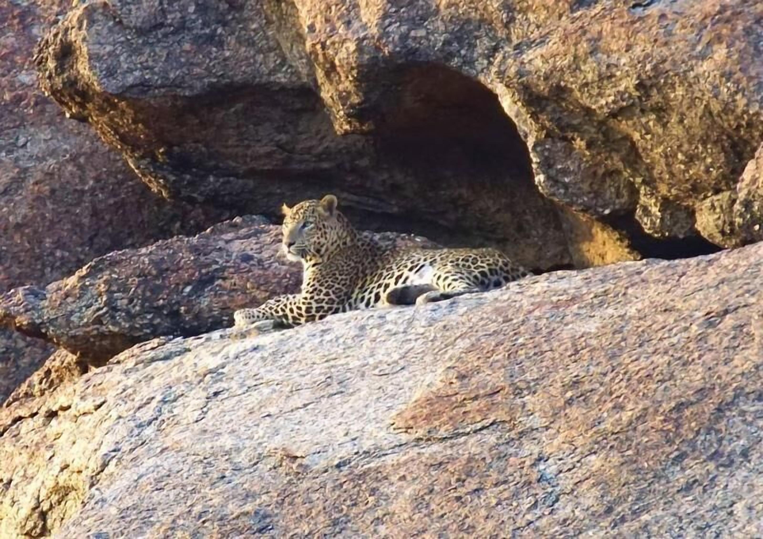 Thour Nature Resorts