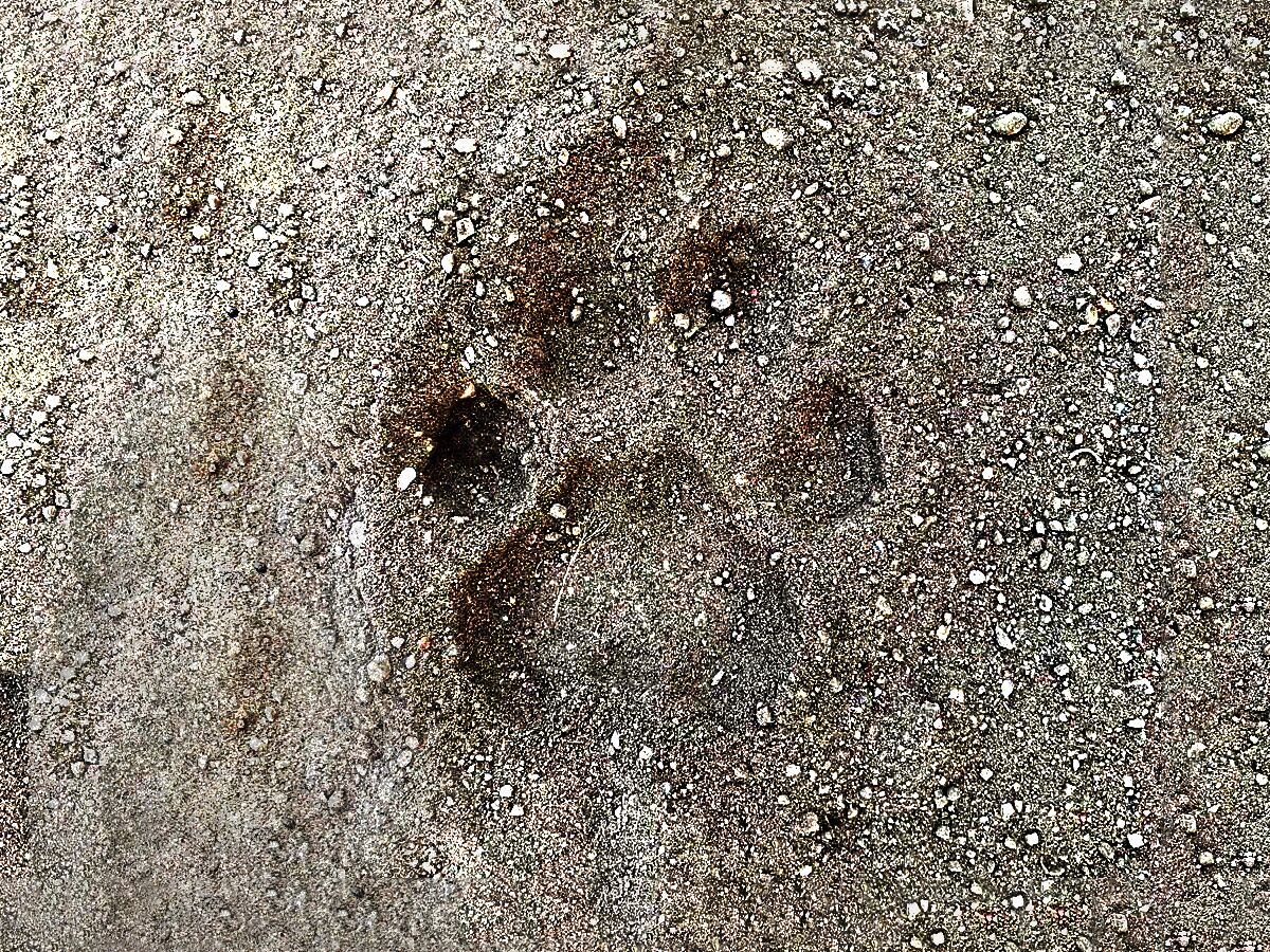 Thour Nature Resorts