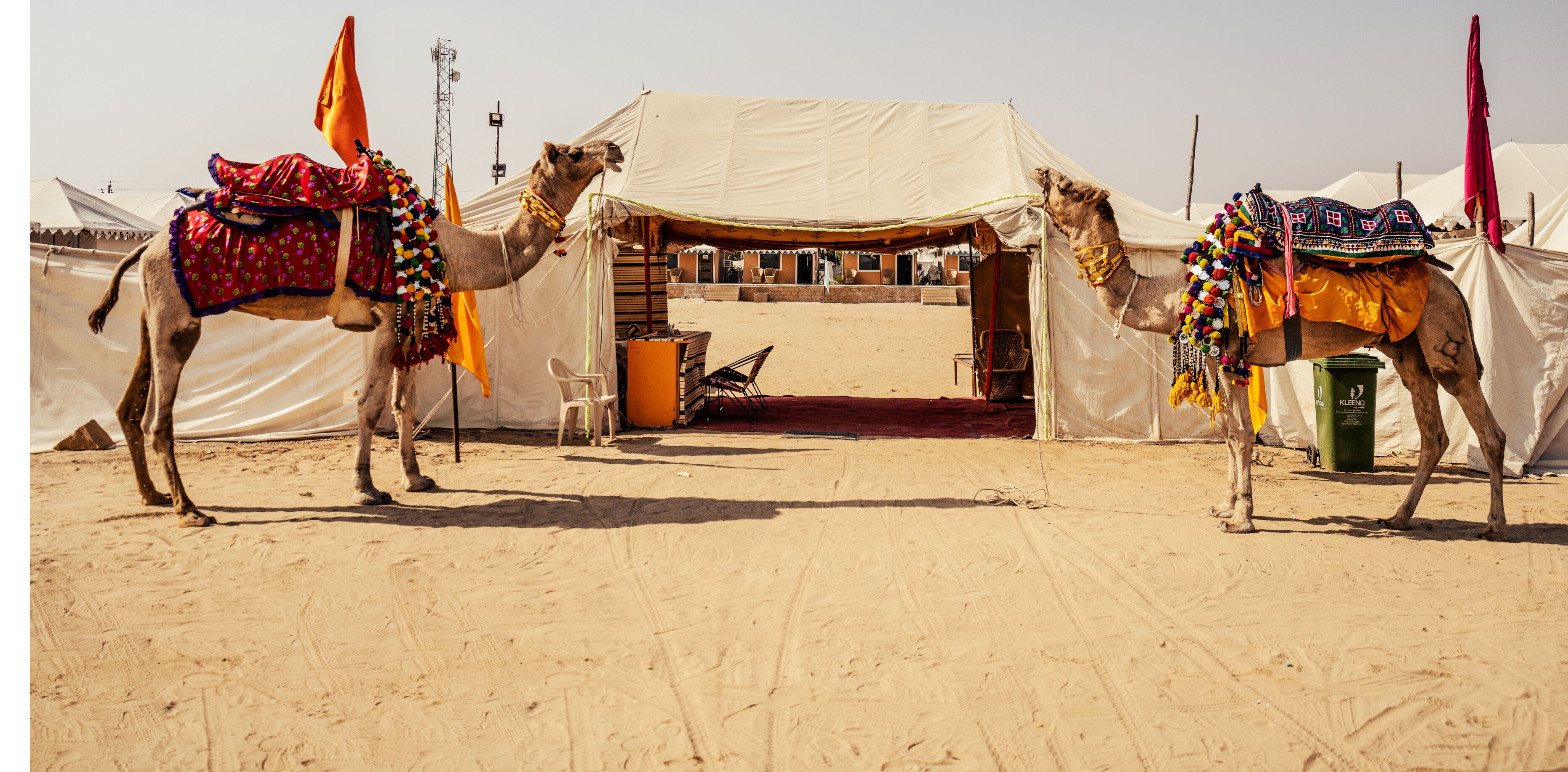 Shriram Desert Camp