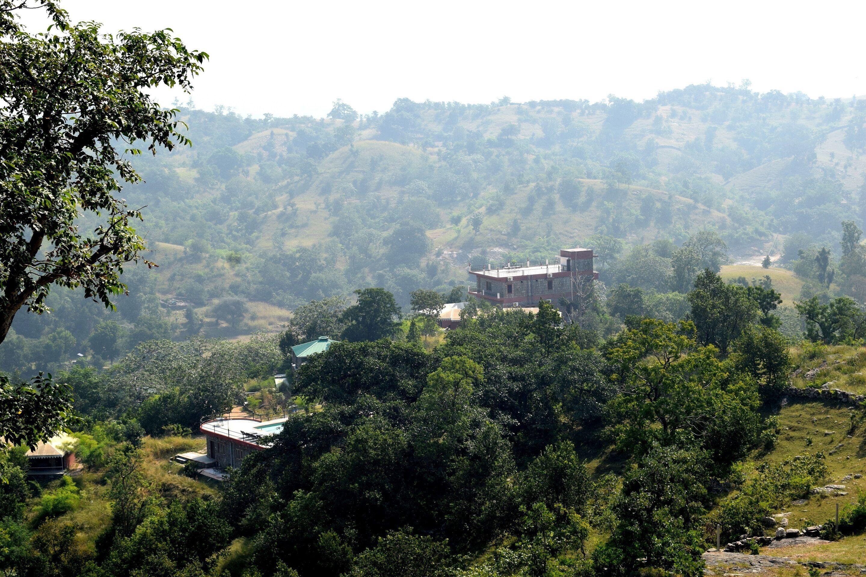 The Jungle Camp Resort by Sky Stays