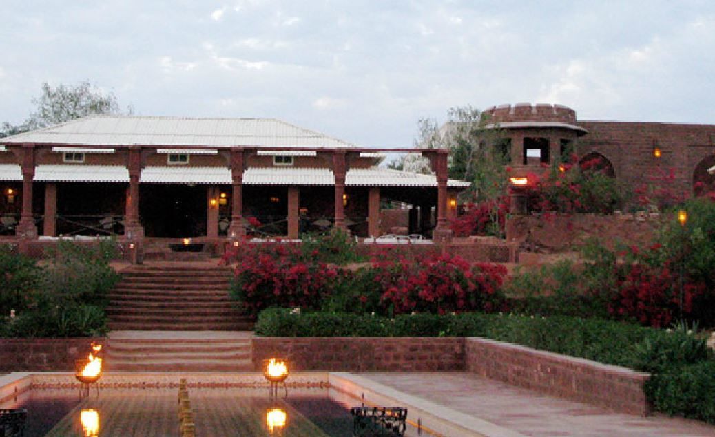 Reggie Camel Camps Osian