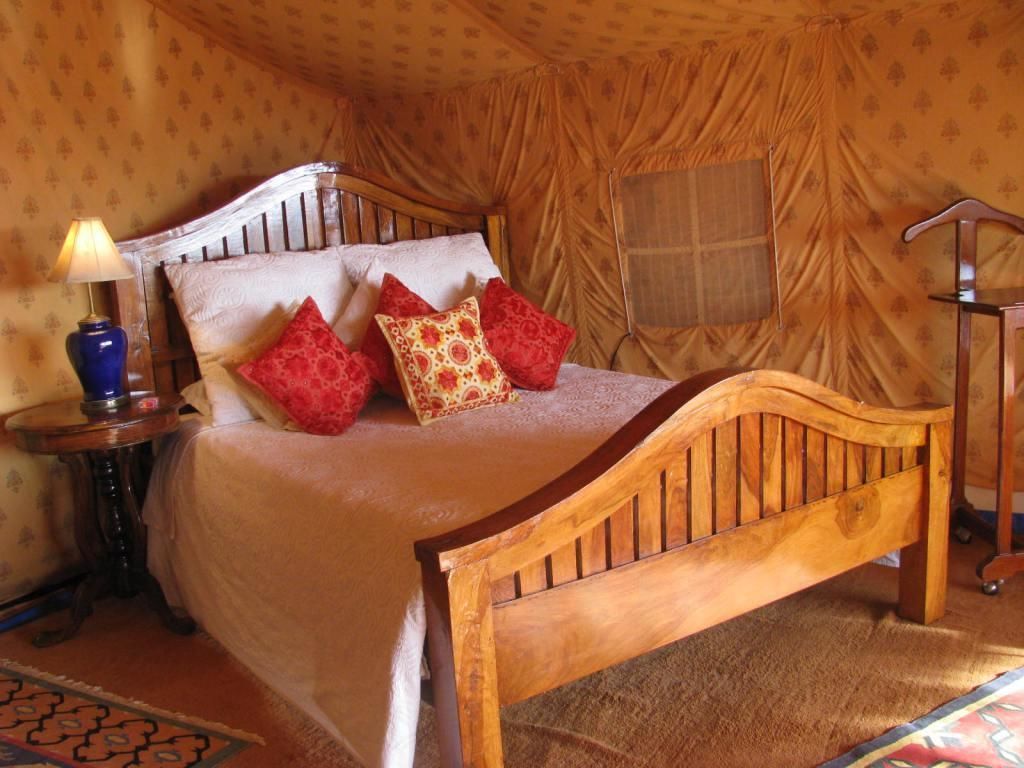 Reggie Camel Camps Osian