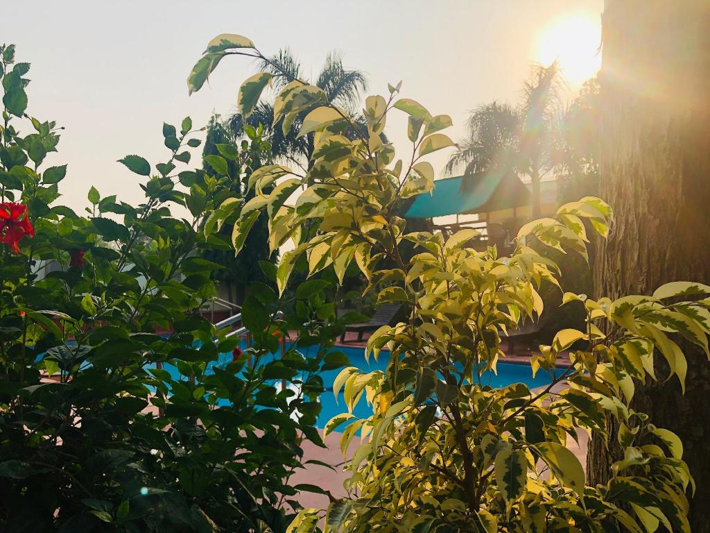 Ranthambore City Heart