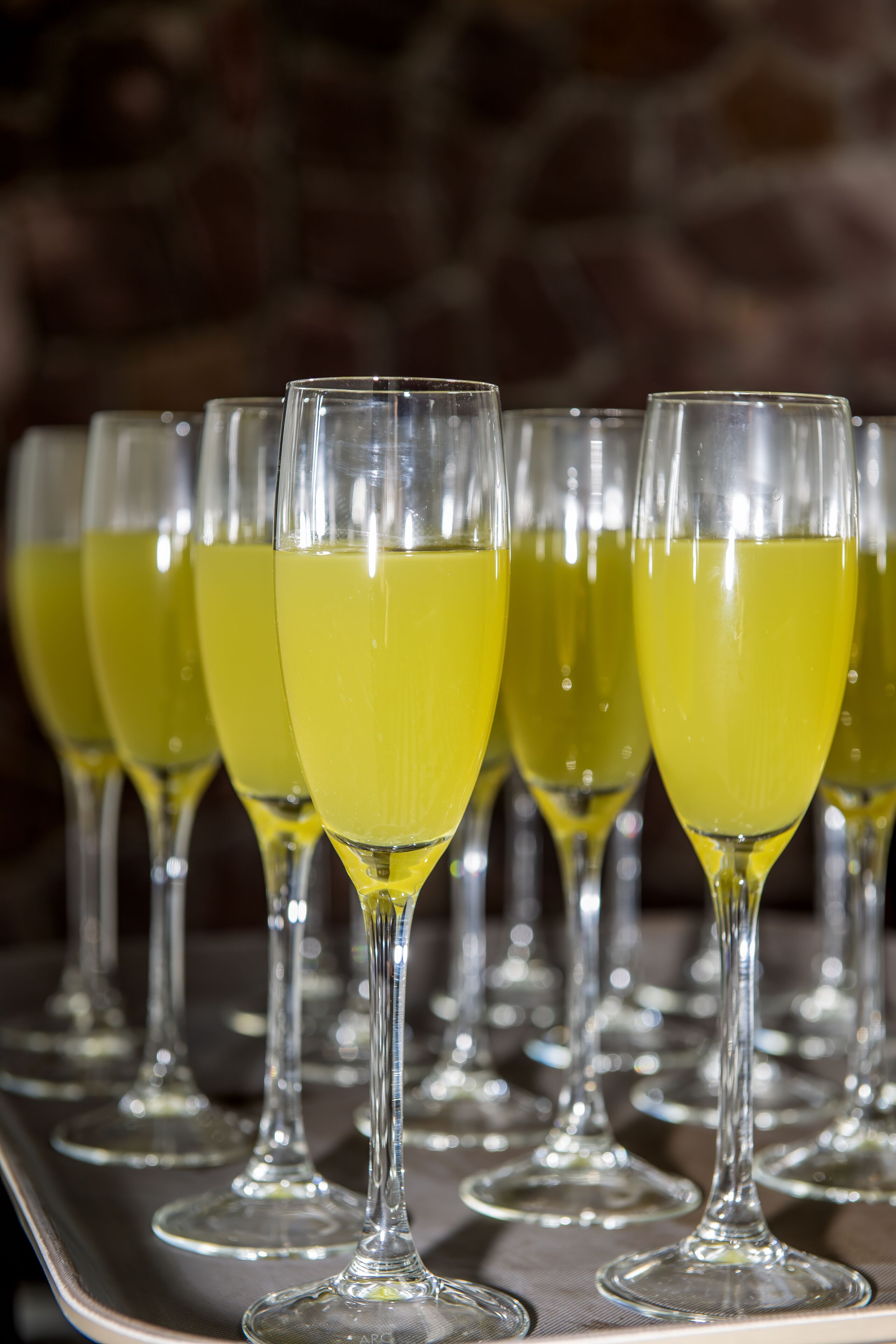 Taj Sawai, Ranthambore