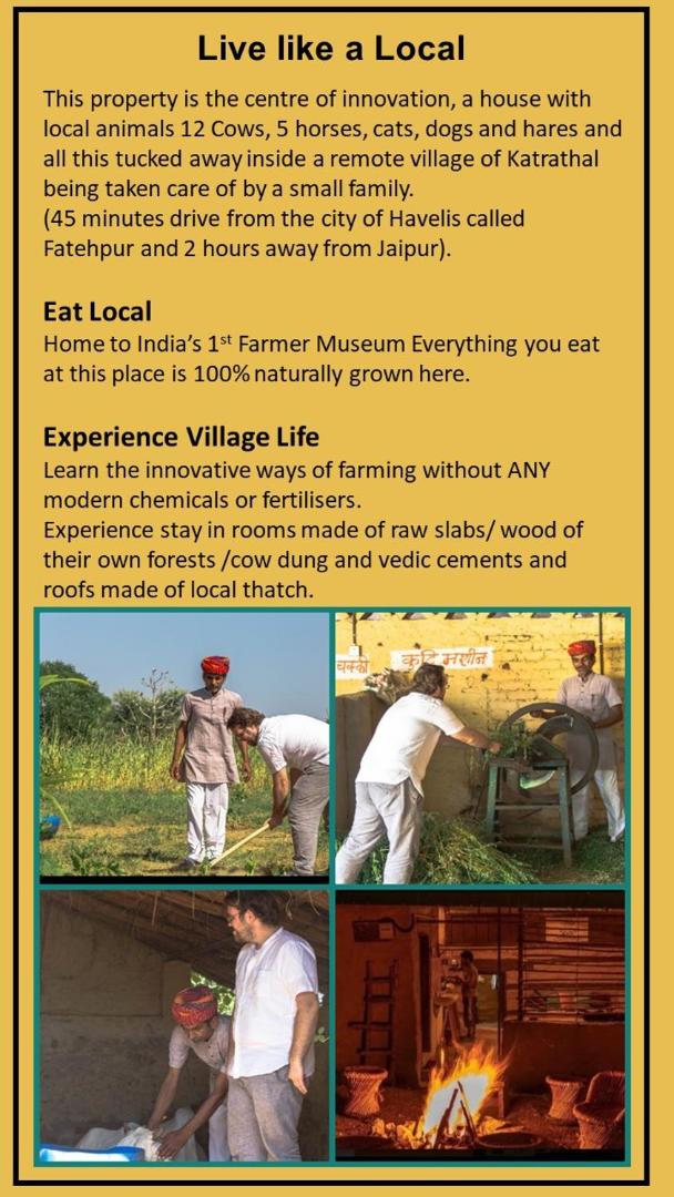 The Innovation House