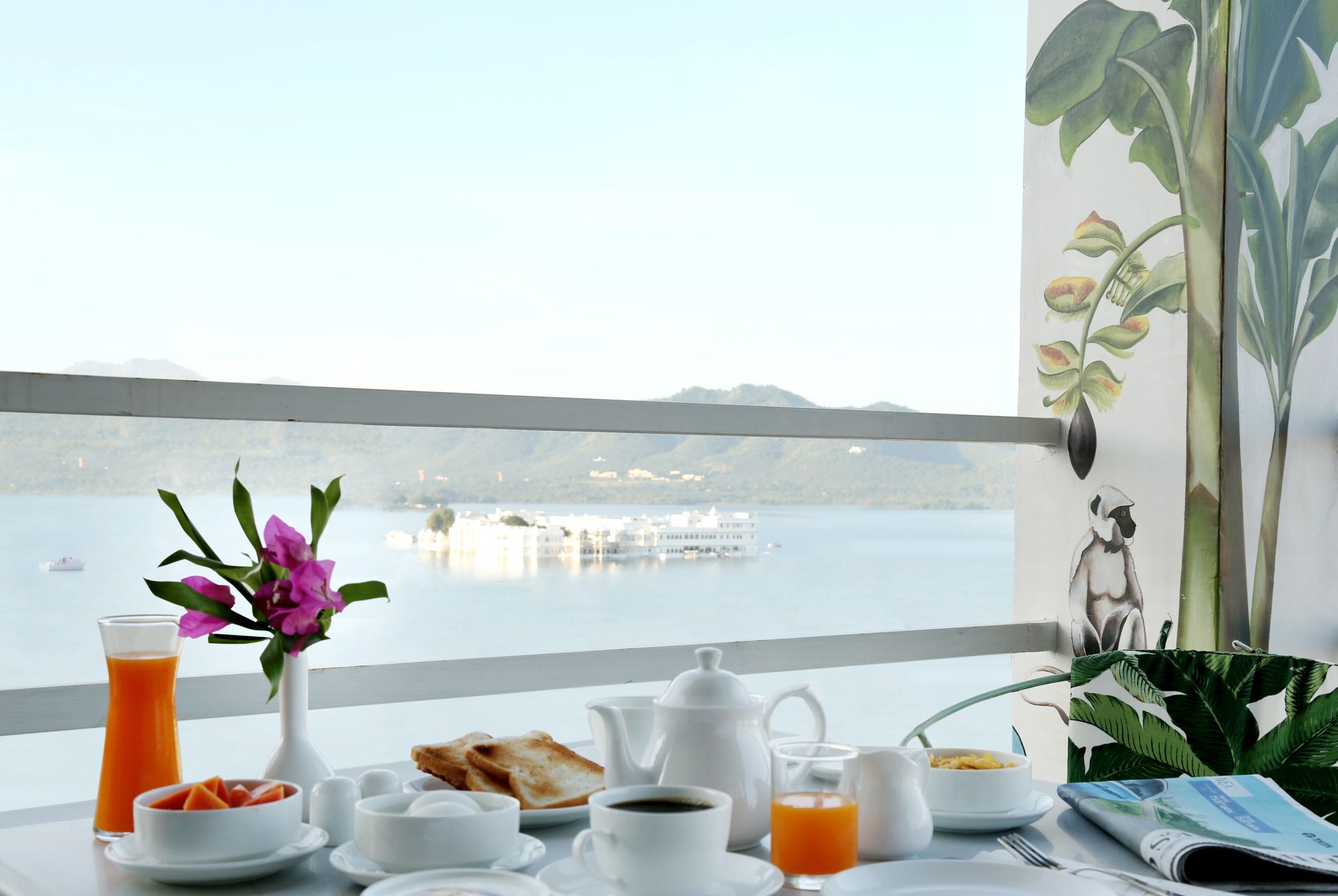 The Red Pier By Downtown Udaipur