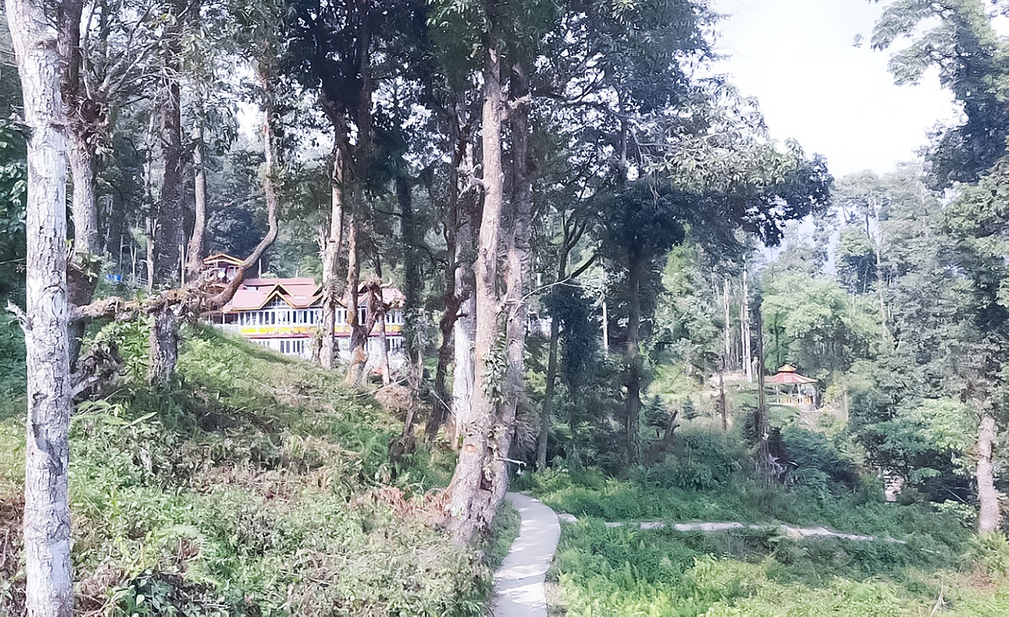 Superview Waterfall