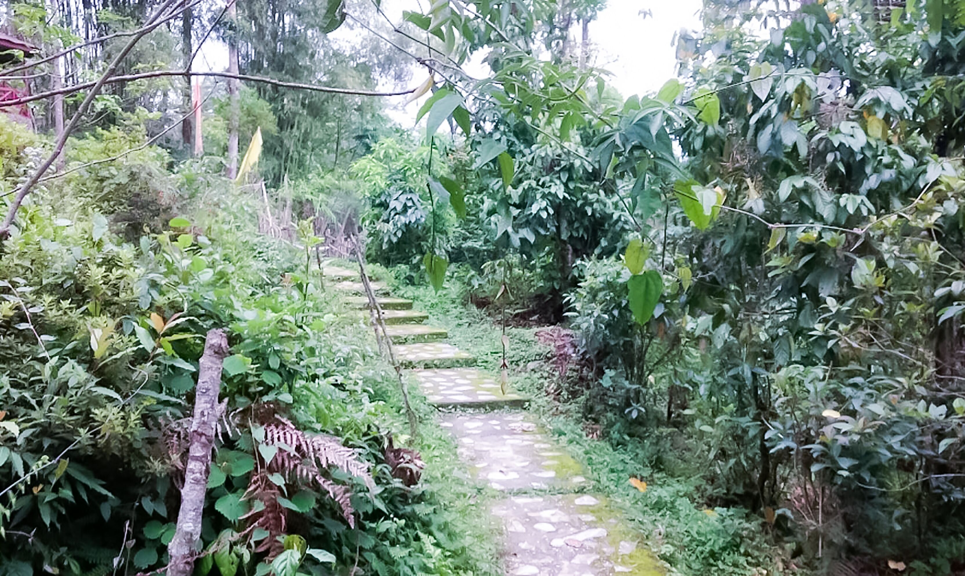 Superview Waterfall