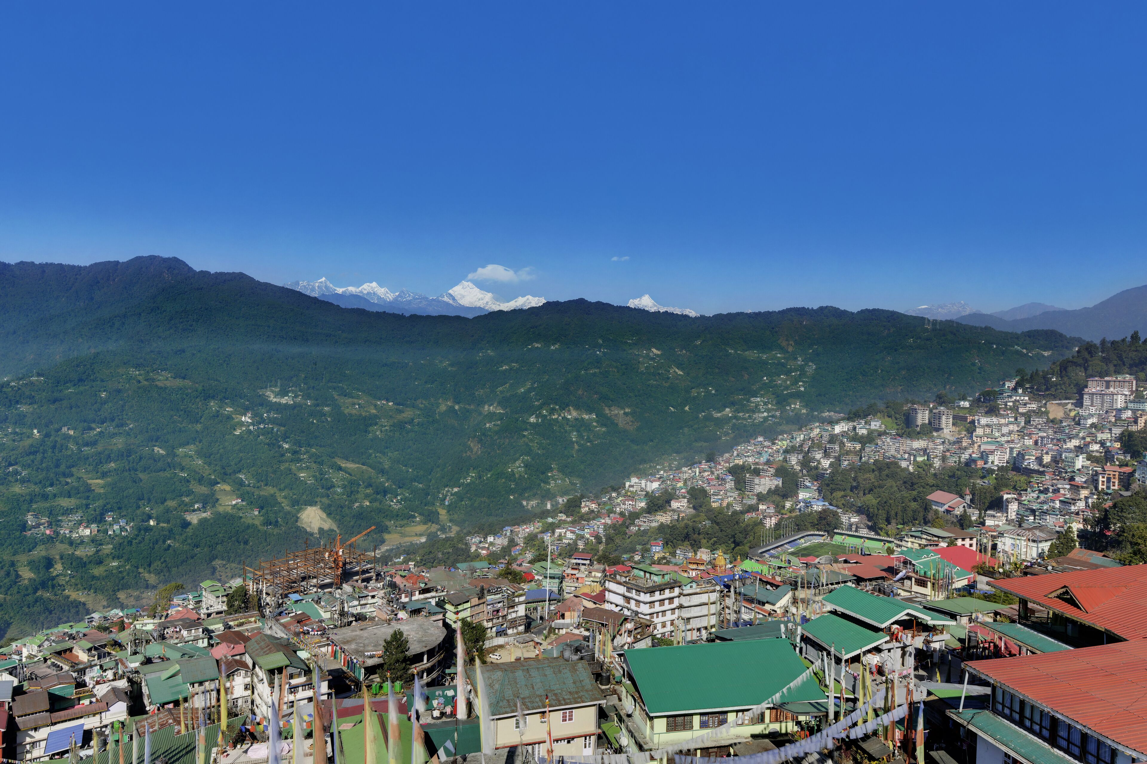 Yashshree Sikkim Blossom