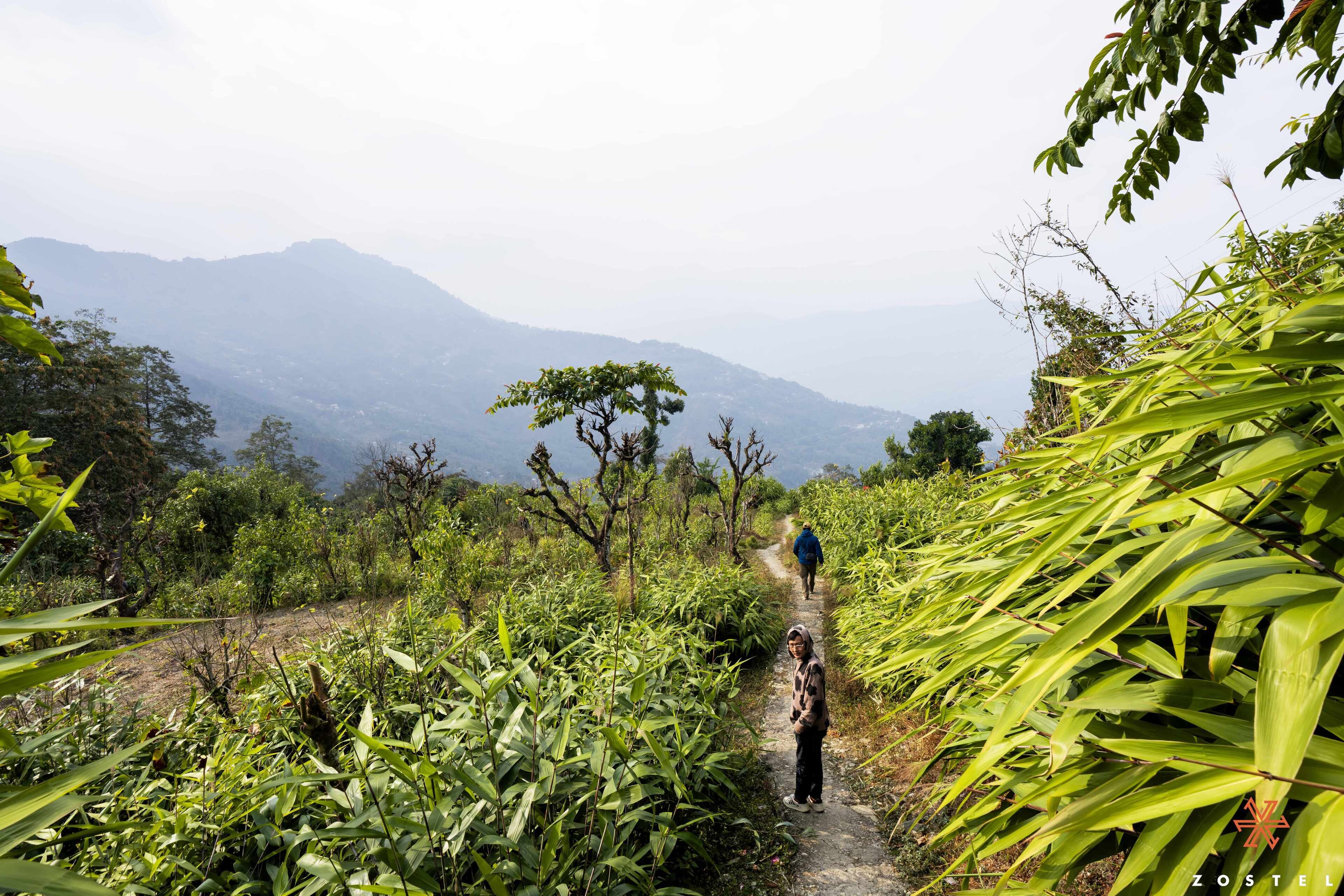 Zostel Rinchenpong (Pelling)