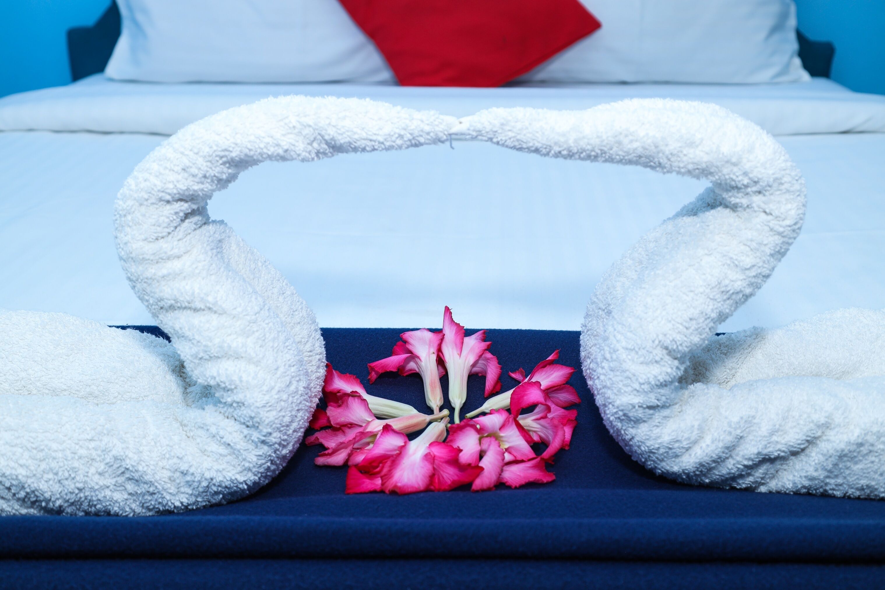 Dolphin Beach Guest House