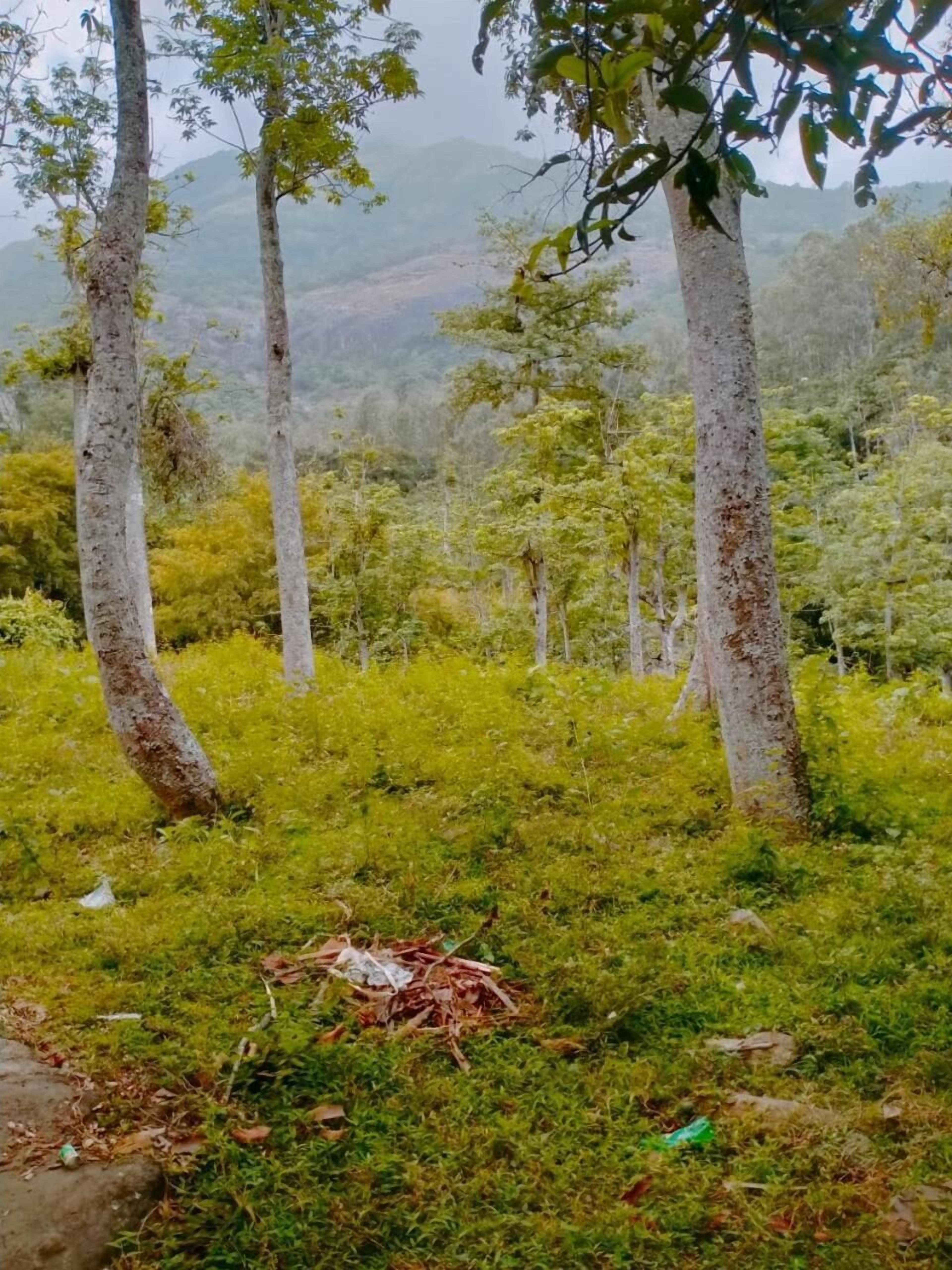 Kumaran Kudil