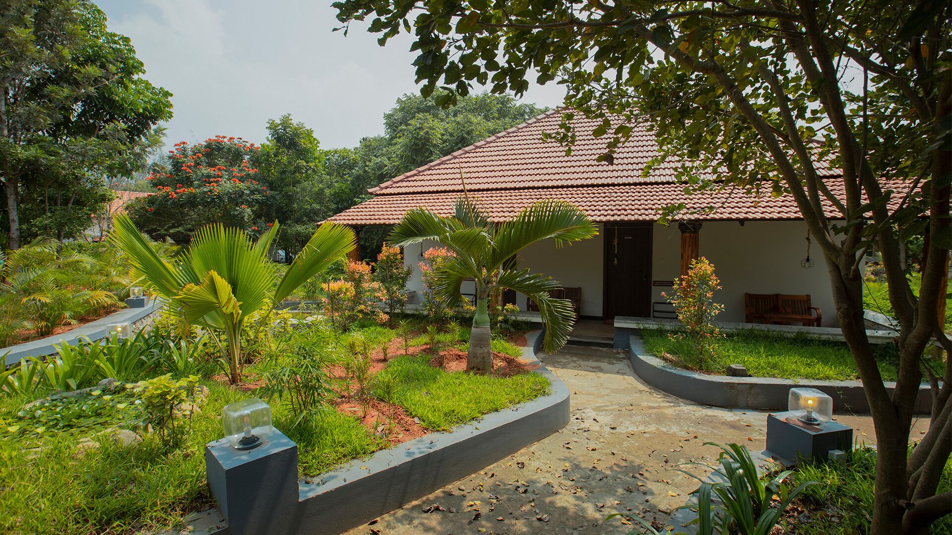 Aara Jungle Resort
