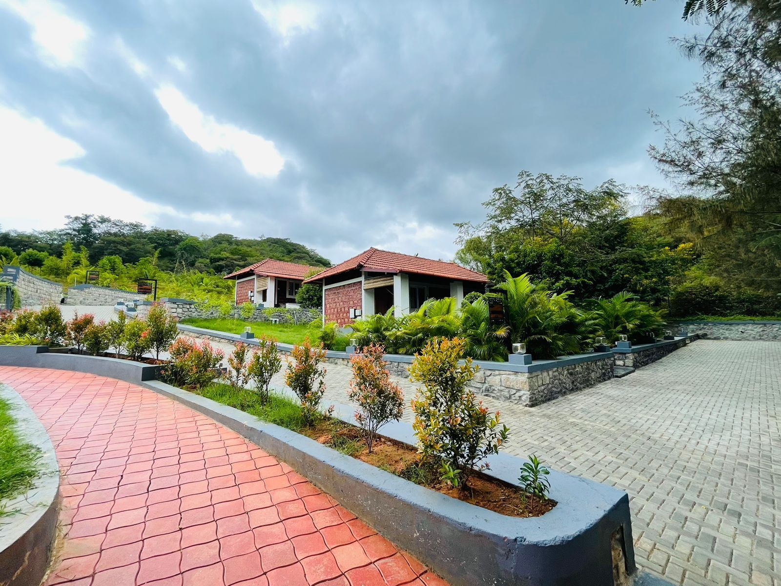 Aara Jungle Resort