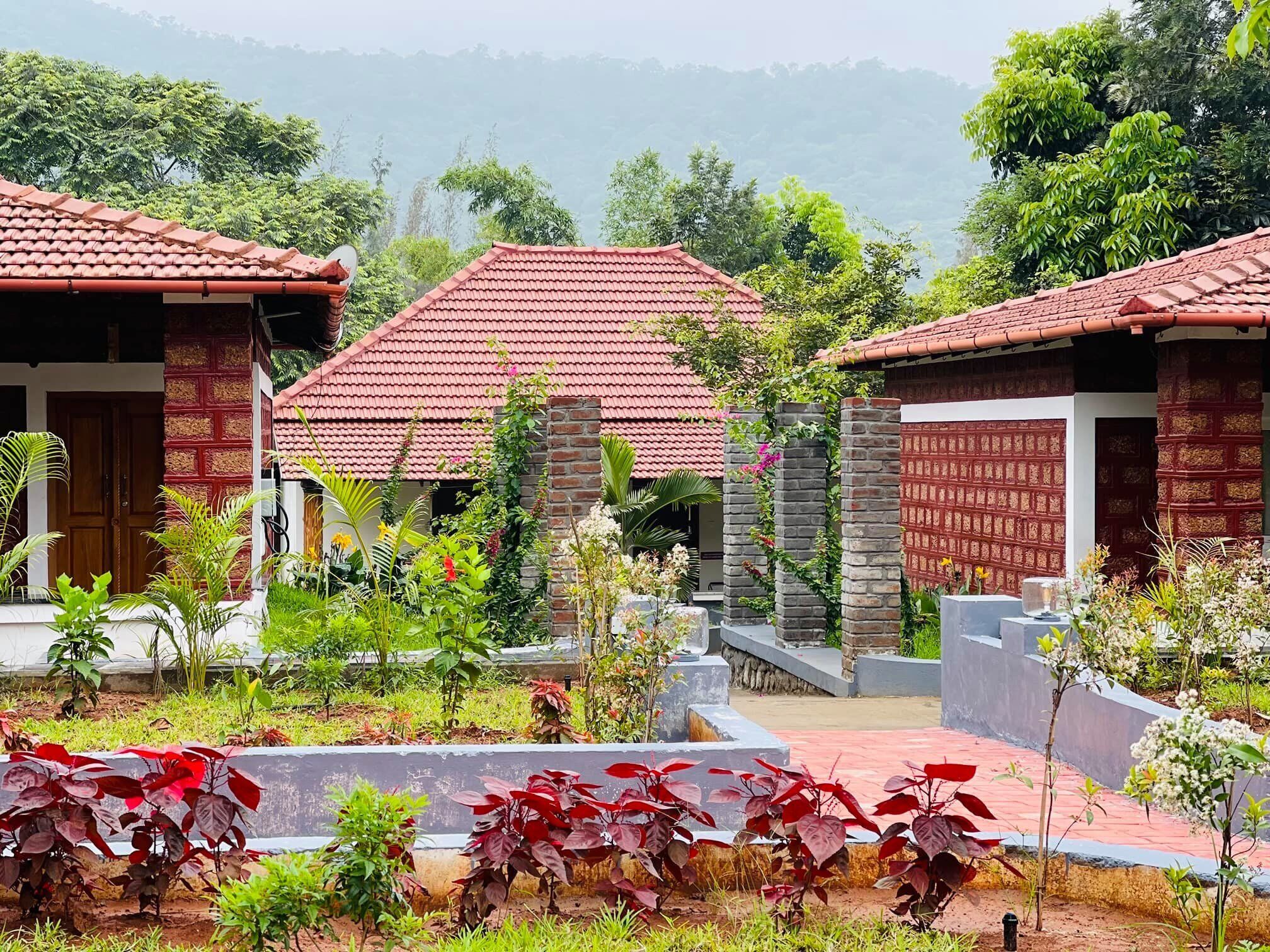 Aara Jungle Resort