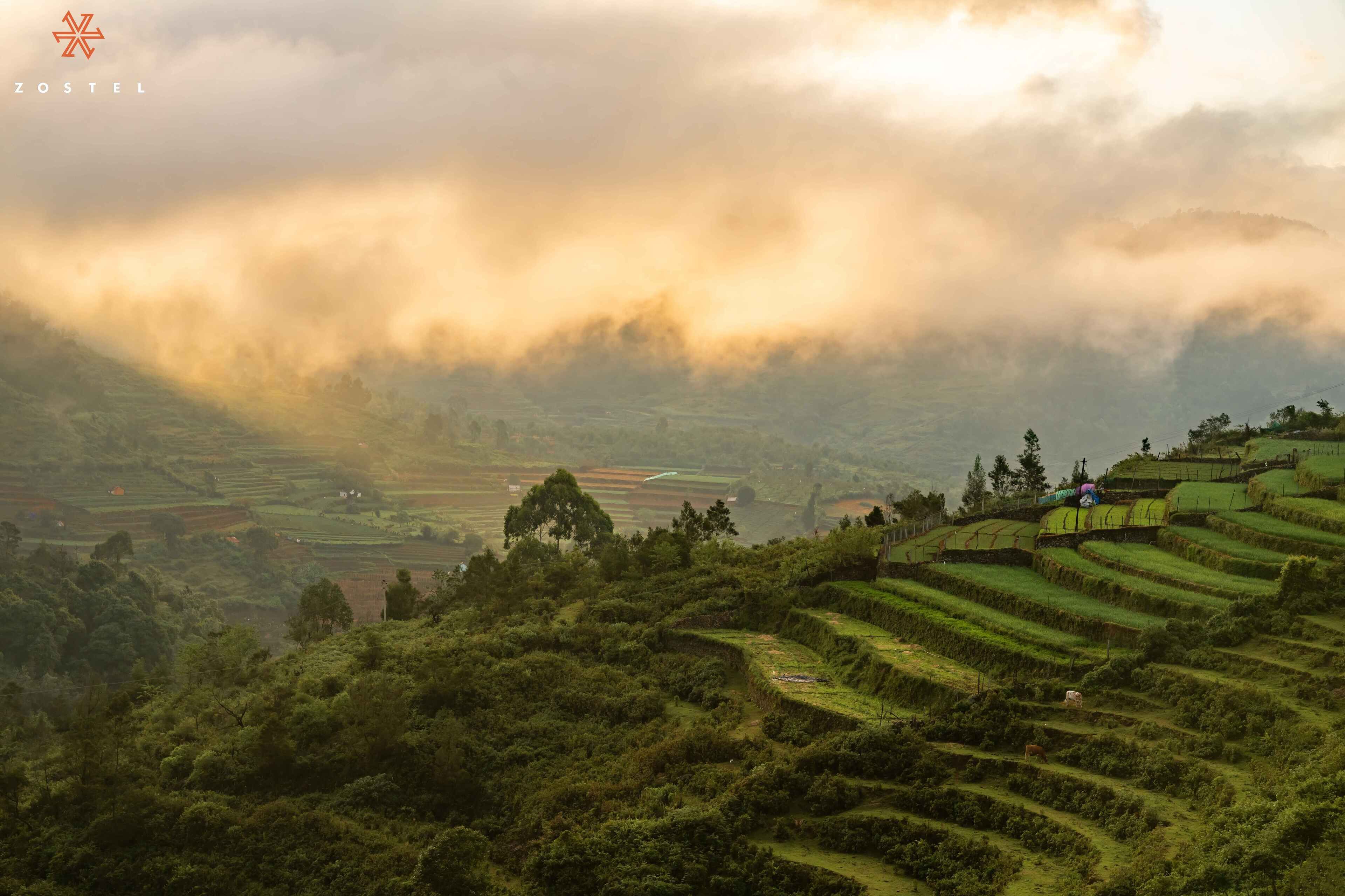 Zostel Poombarai (Kodaikanal)
