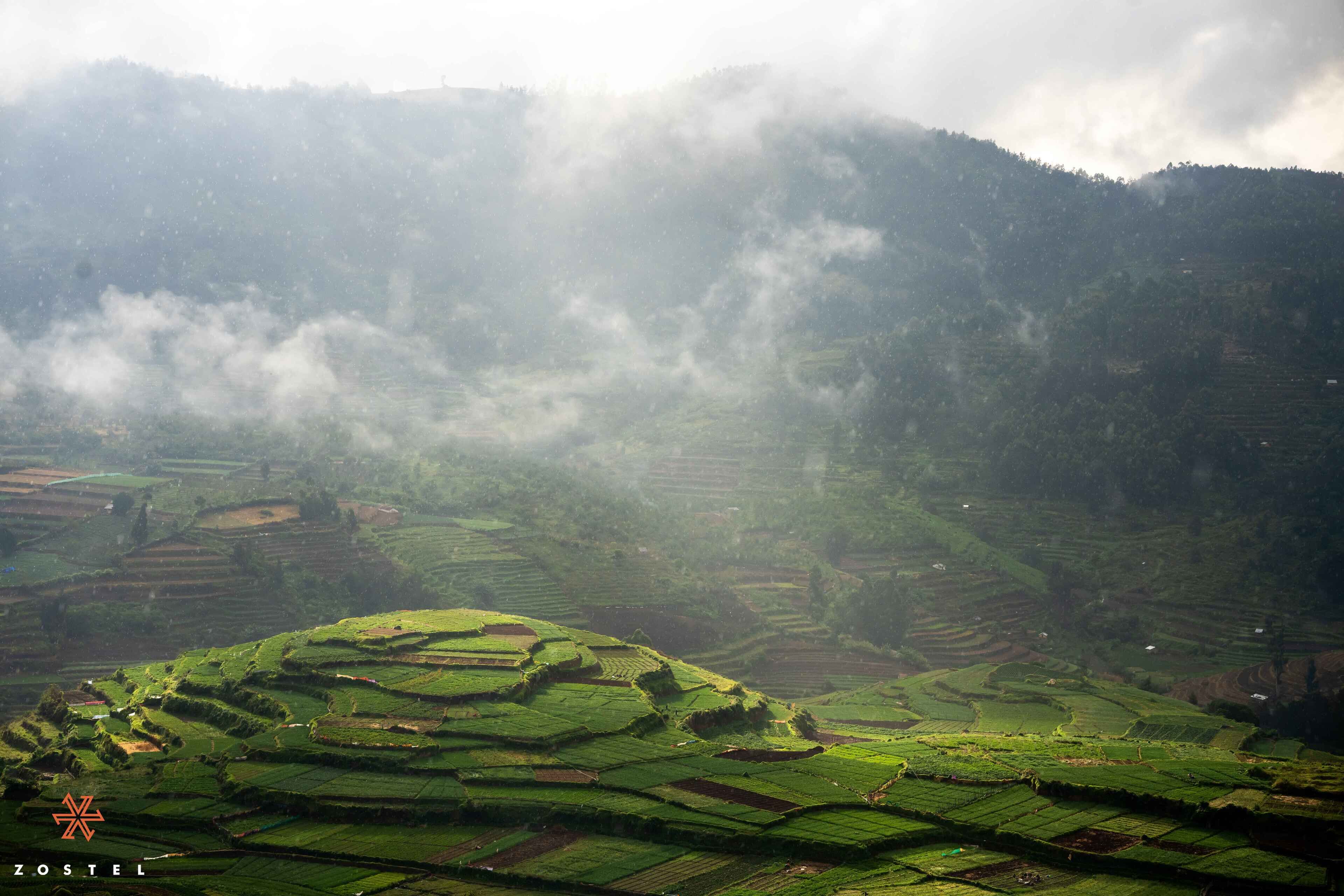 Zostel Poombarai (Kodaikanal)