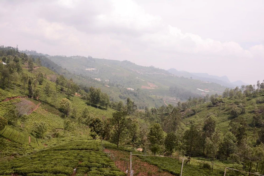 V Resorts Kotagiri