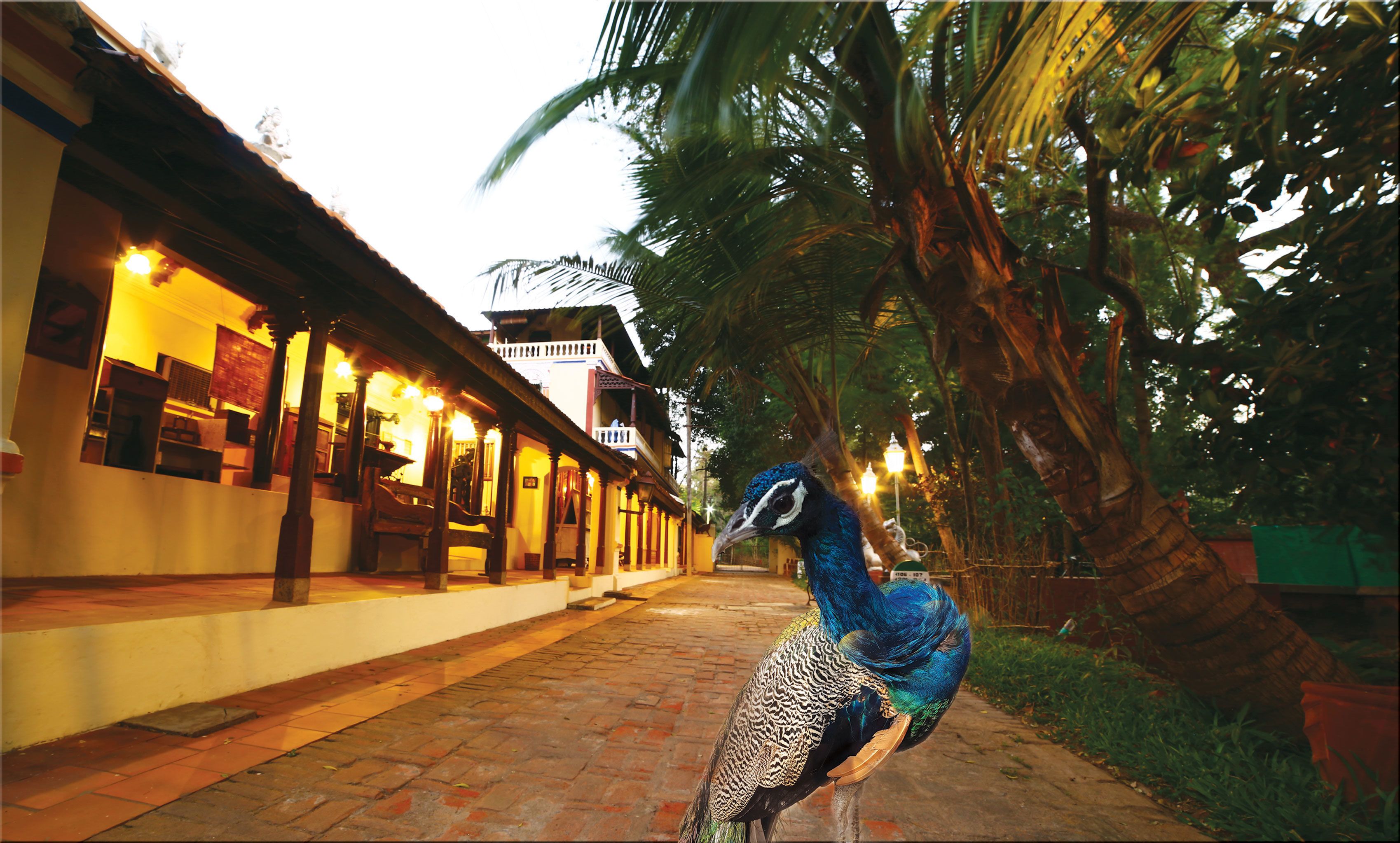 Indeco Hotels Swamimalai