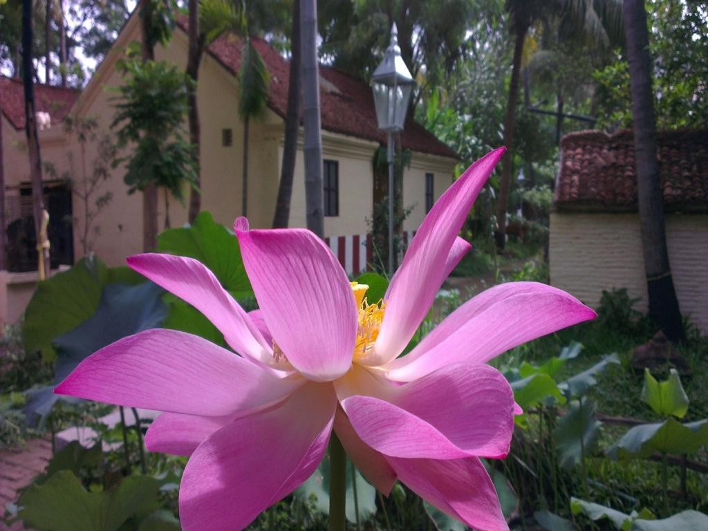 Indeco Hotels Swamimalai