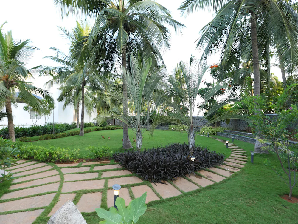 Coco Retreat Farm