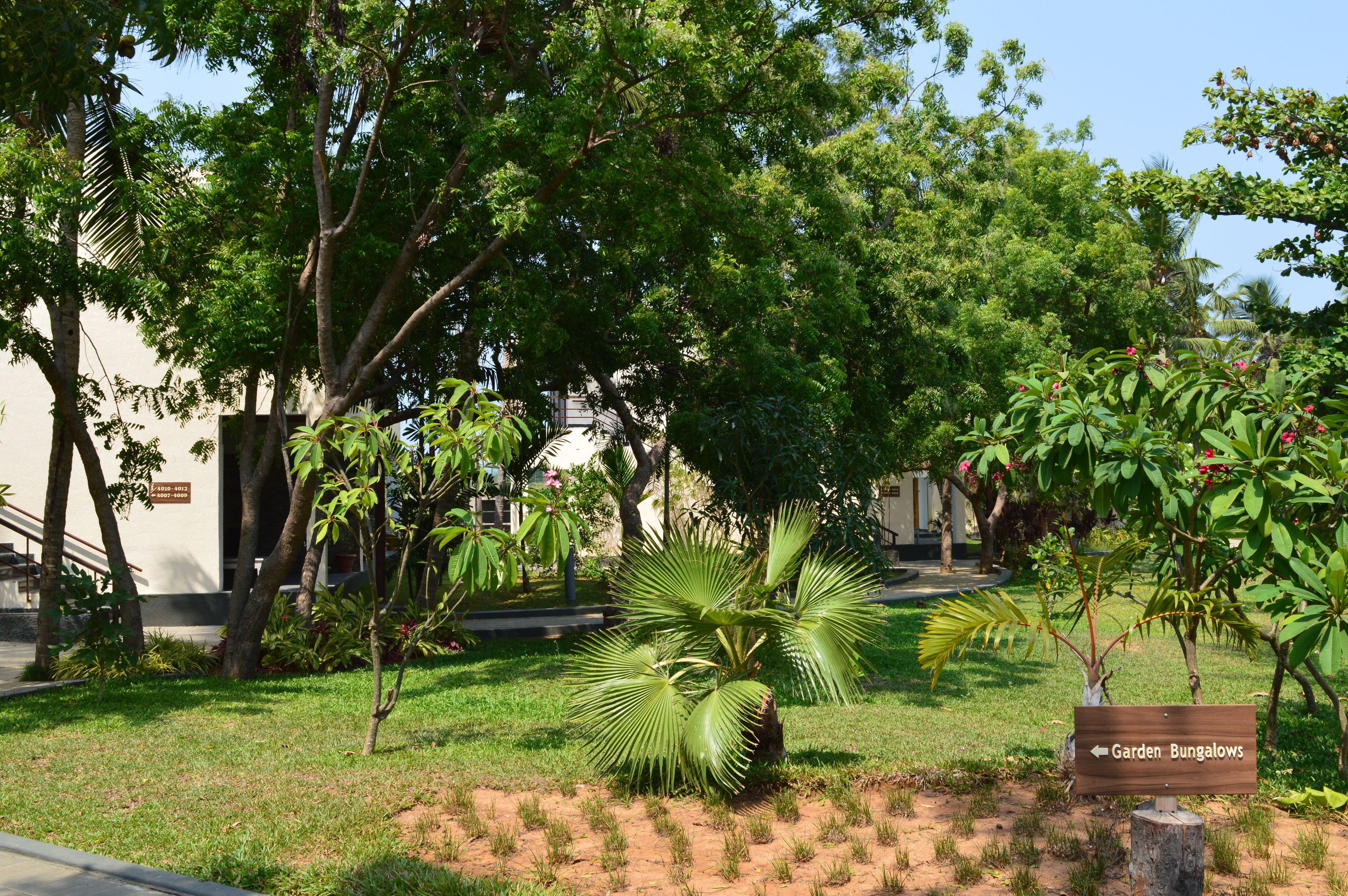 Welcomhotel by ITC Hotels, Kences Palm Beach, Mamallapuram