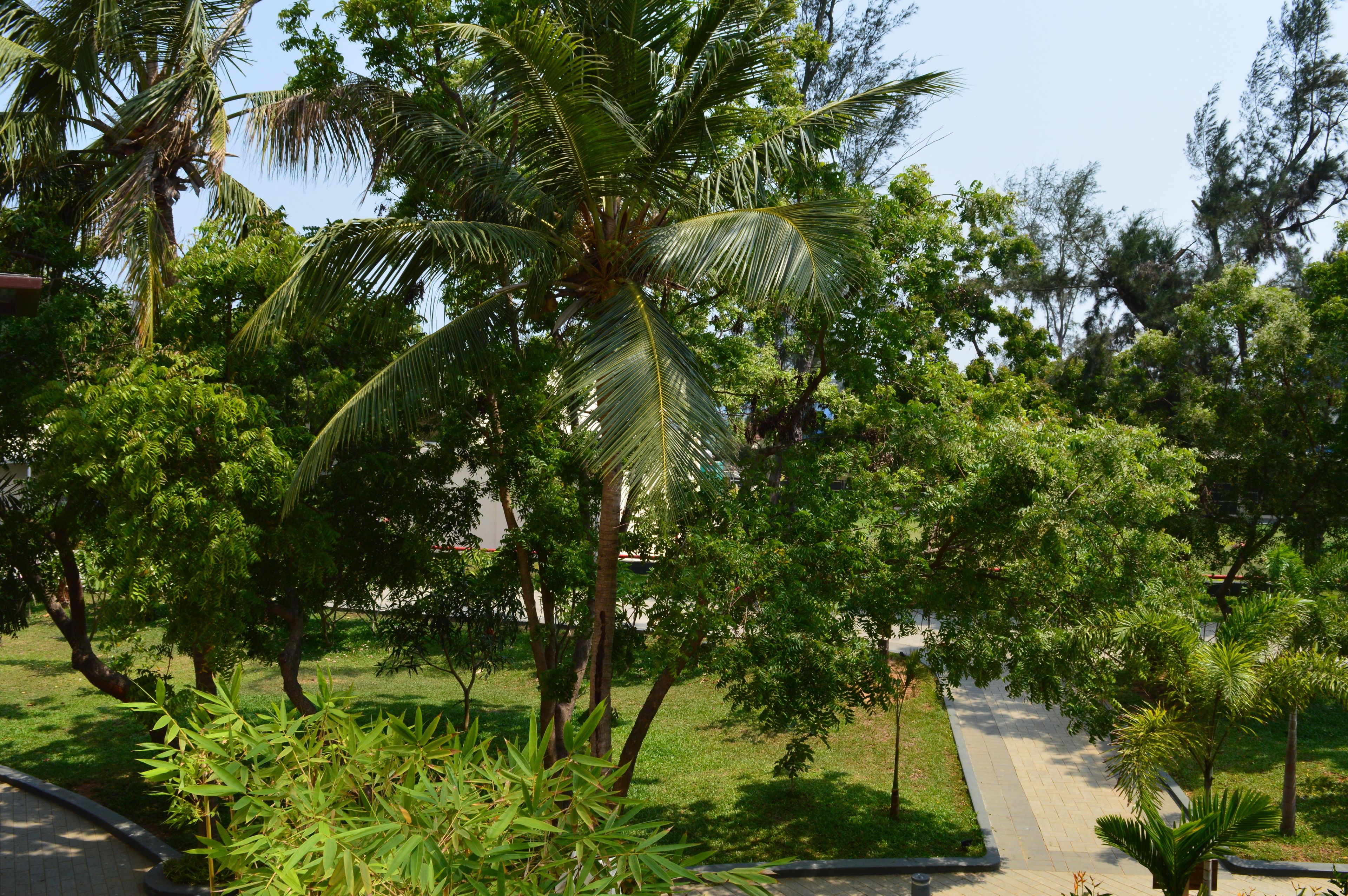 Welcomhotel by ITC Hotels, Kences Palm Beach, Mamallapuram