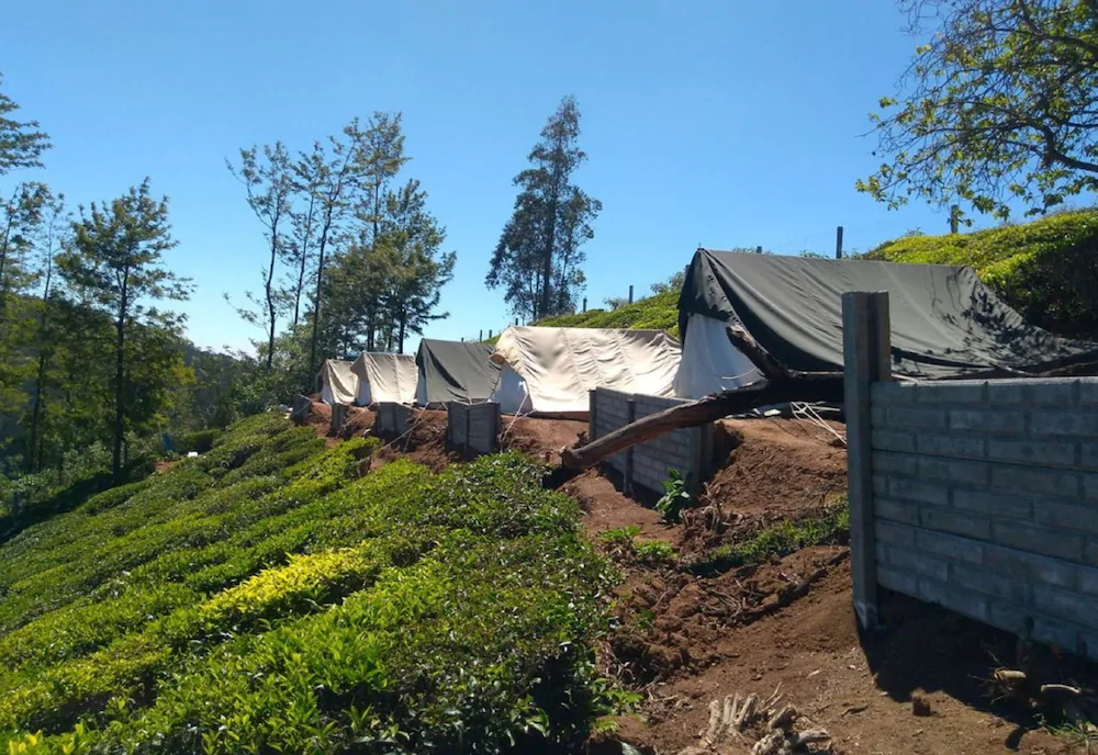 Janardan Tea Resort