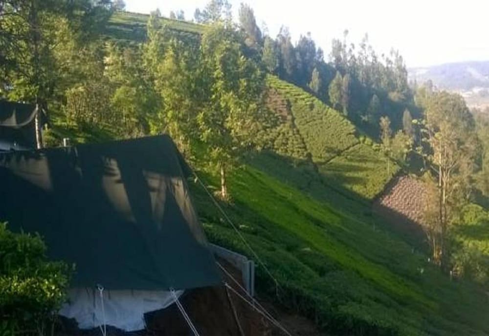 Janardan Tea Resort