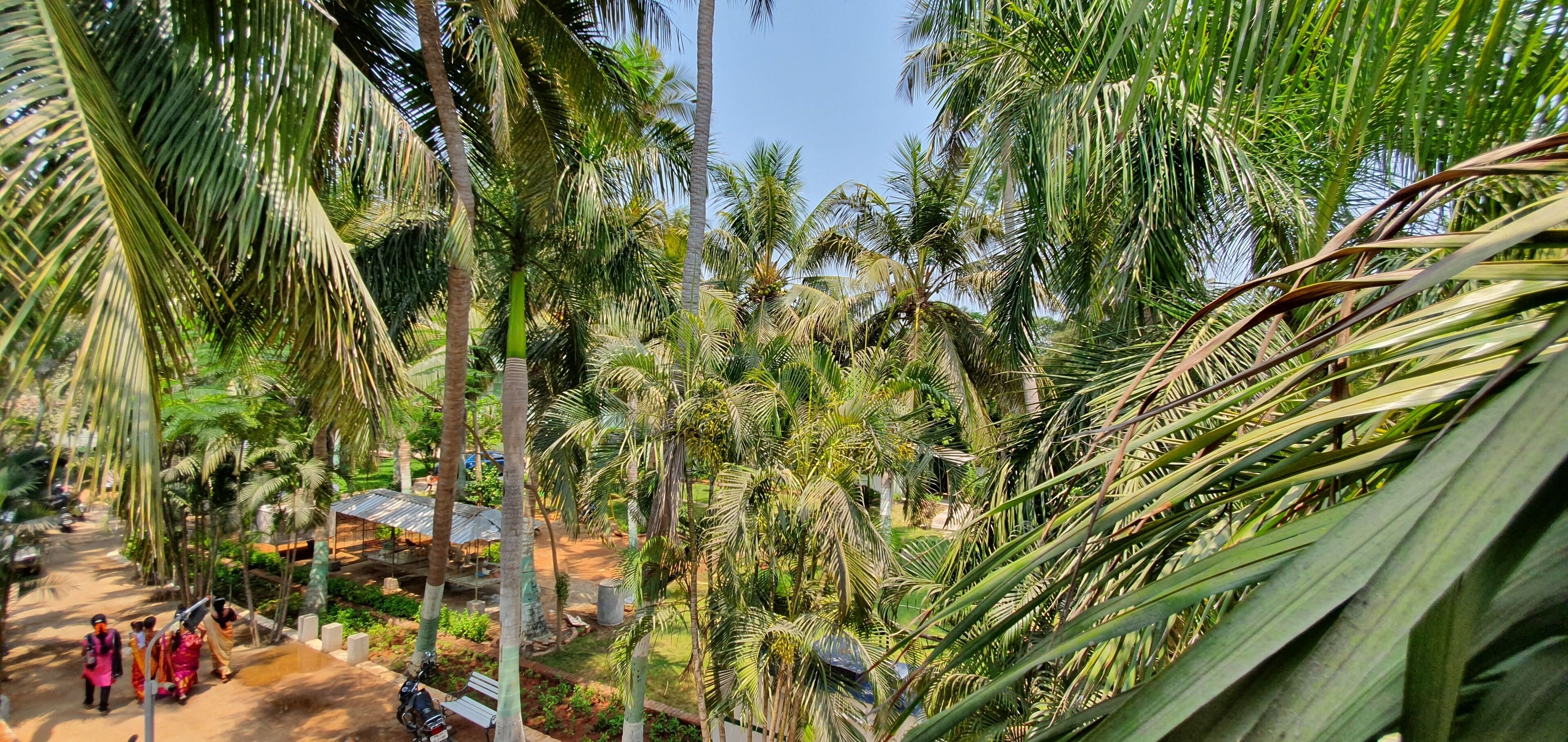 RK Resorts