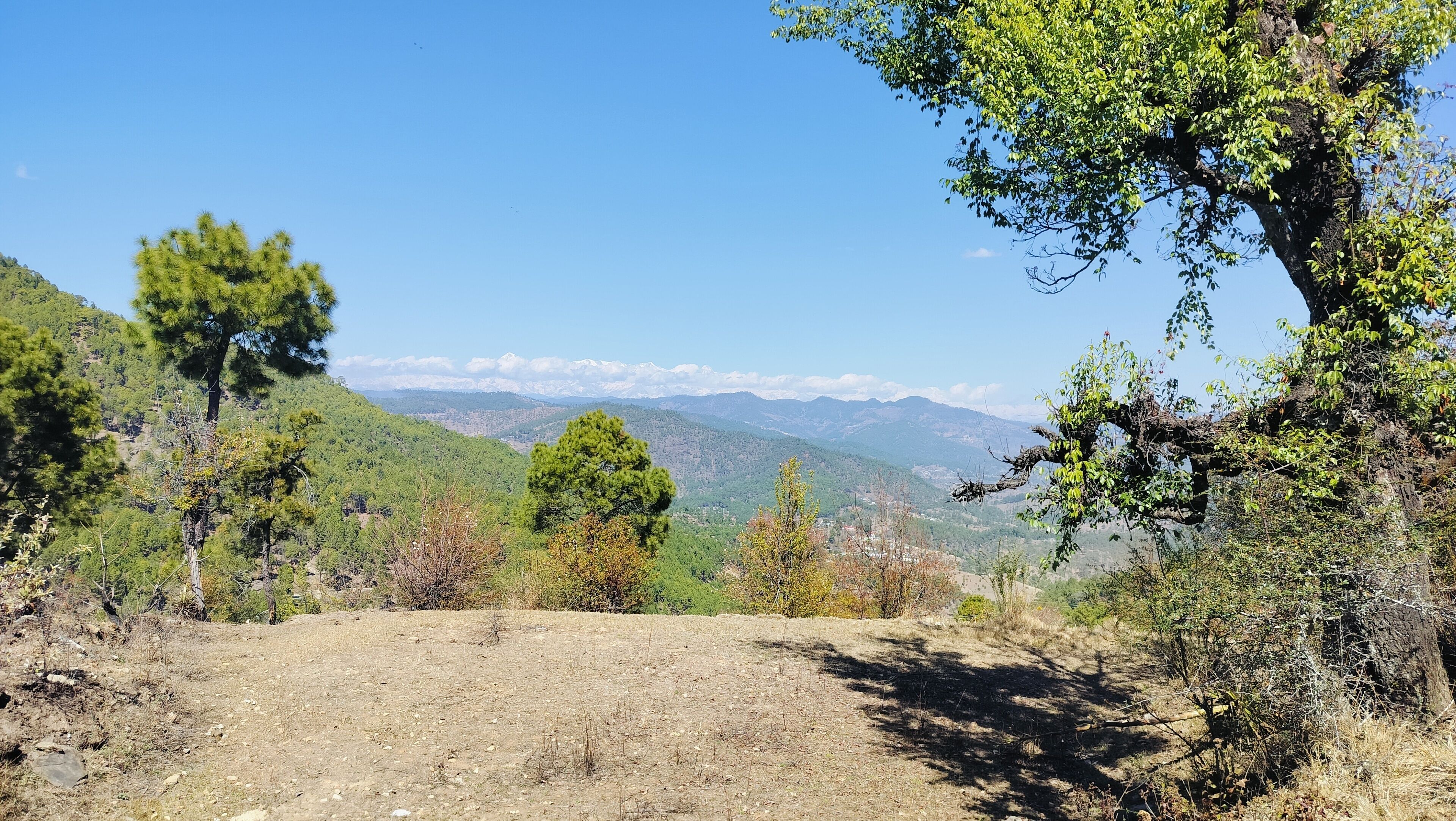 Adaara Retreat