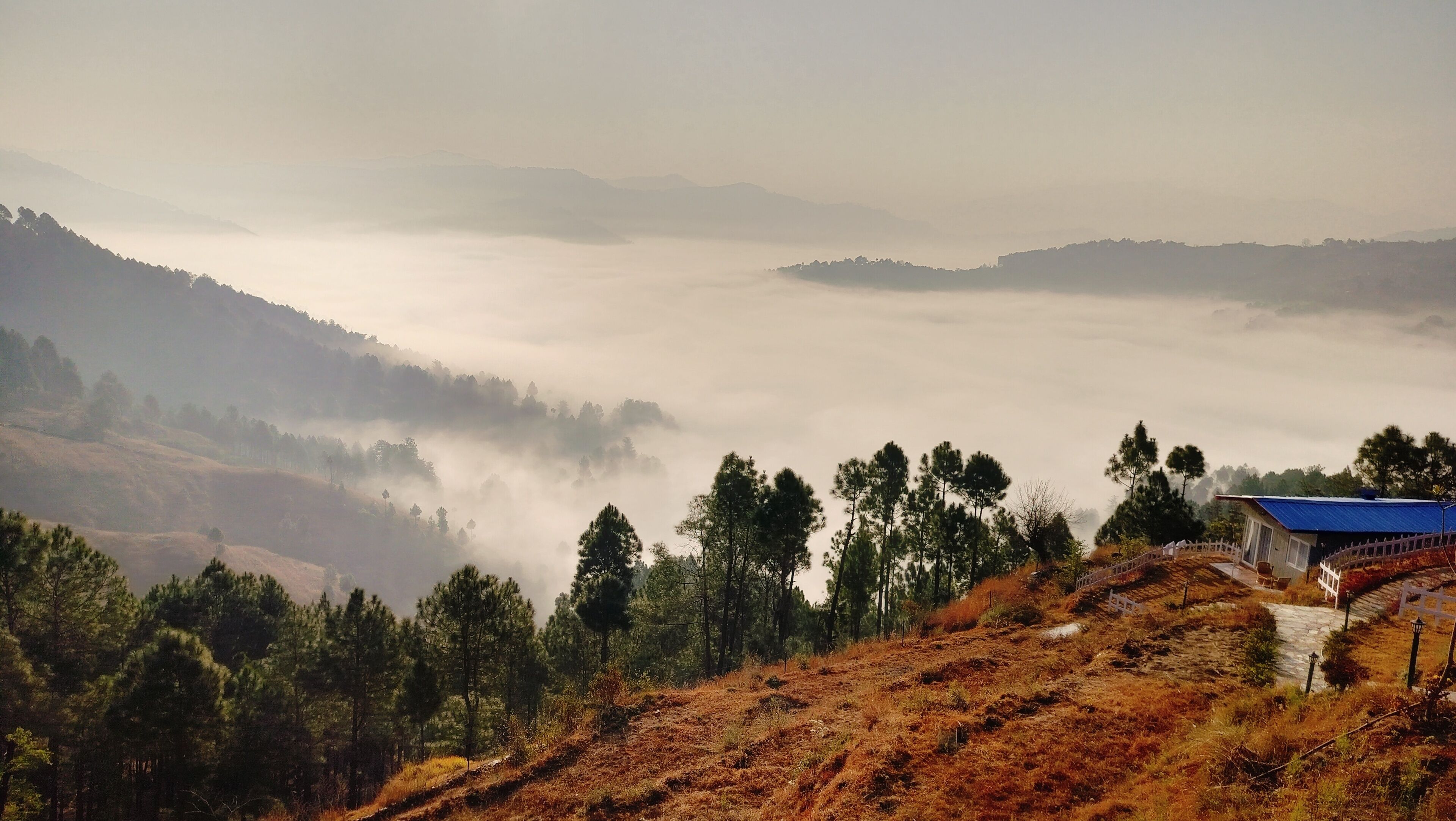 Adaara Retreat