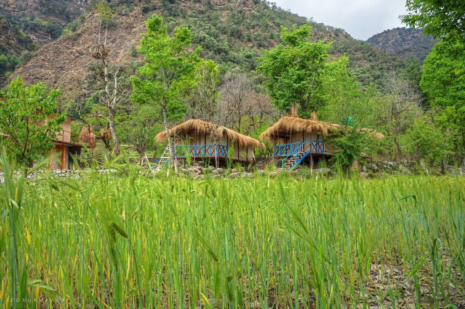 Himalayan River Garden