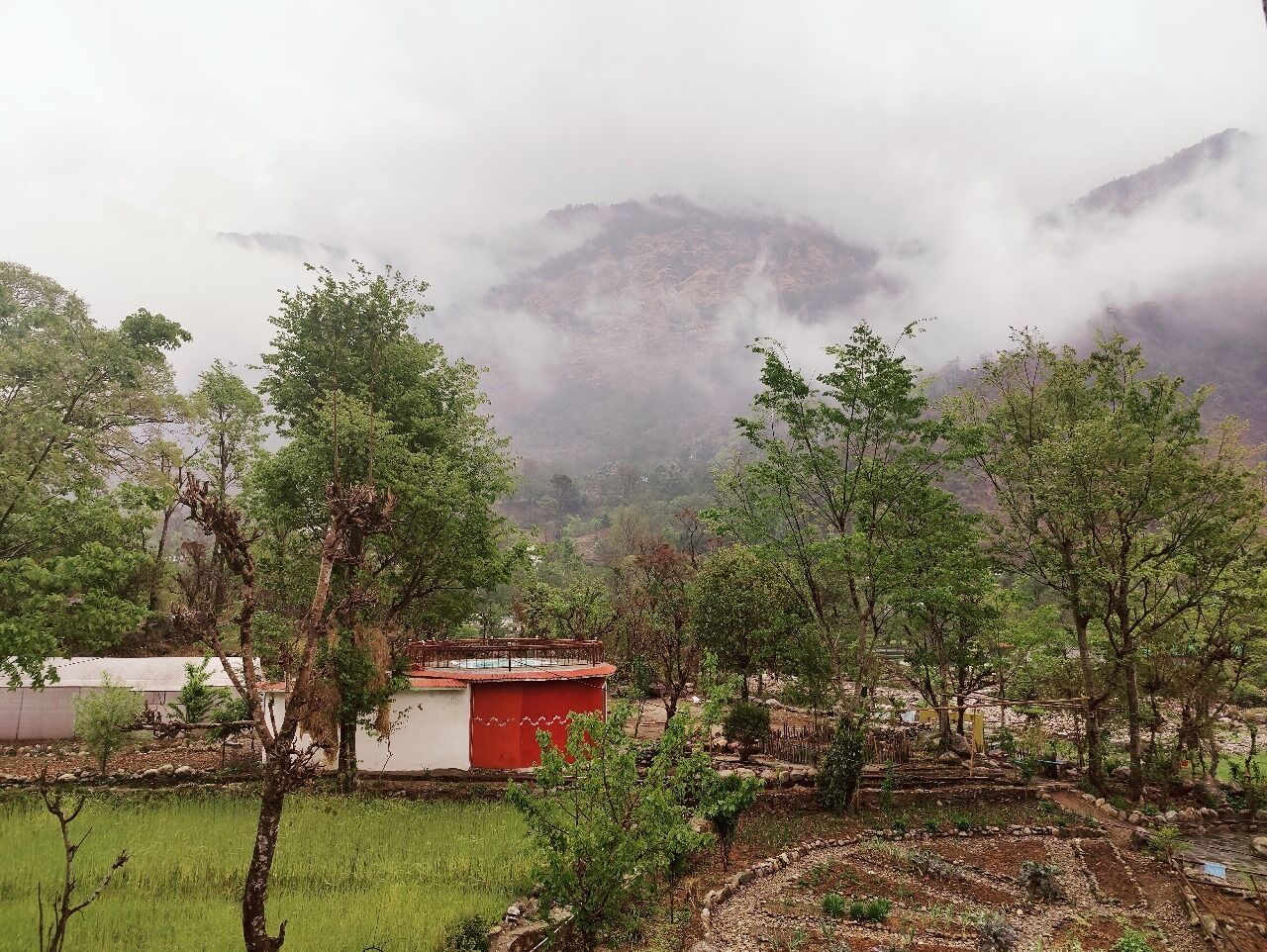 Himalayan River Garden