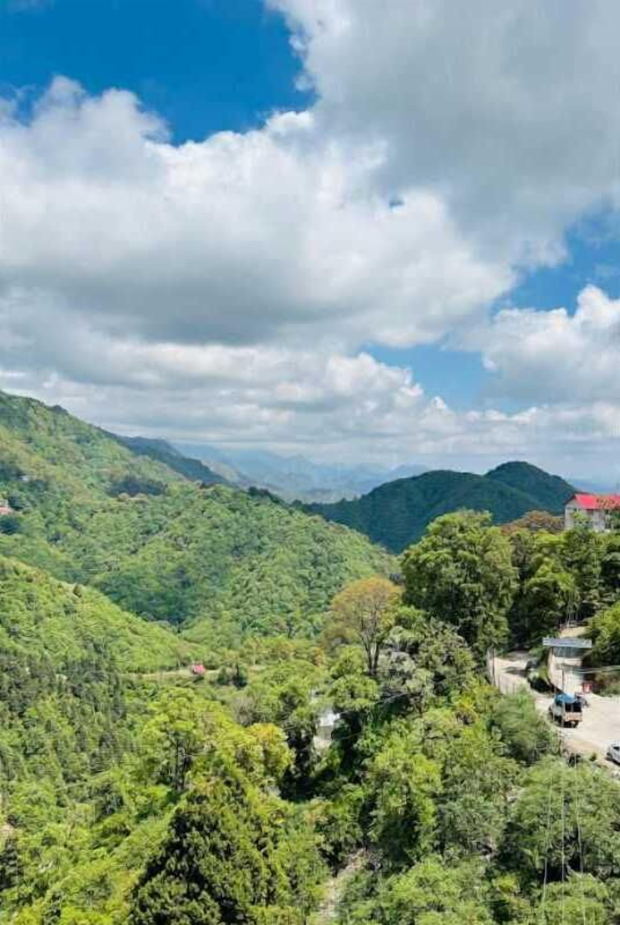 Hotel Maya