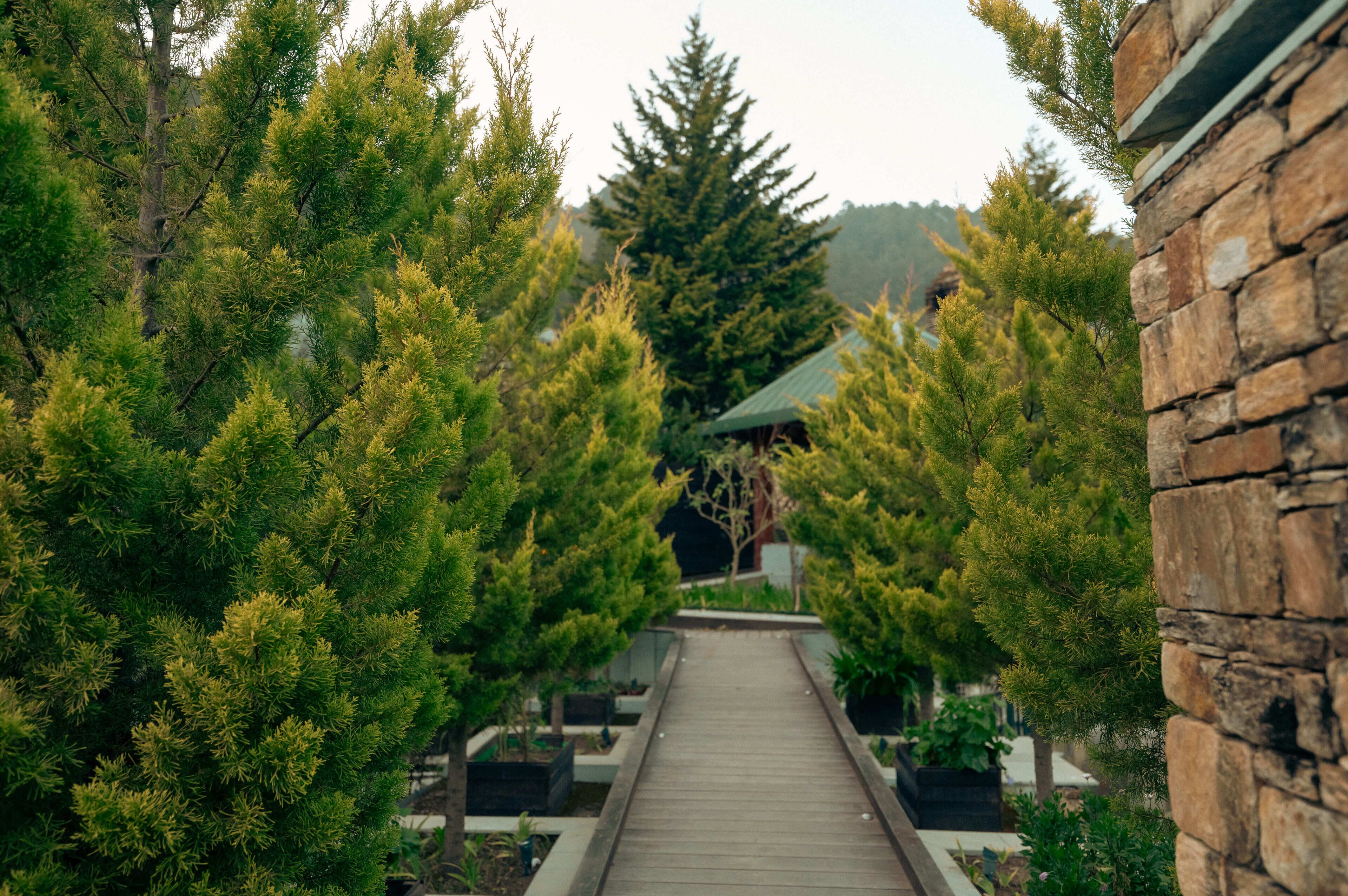 Brij Atmanya Bhowali Nainital A Luxury Mountain Escape