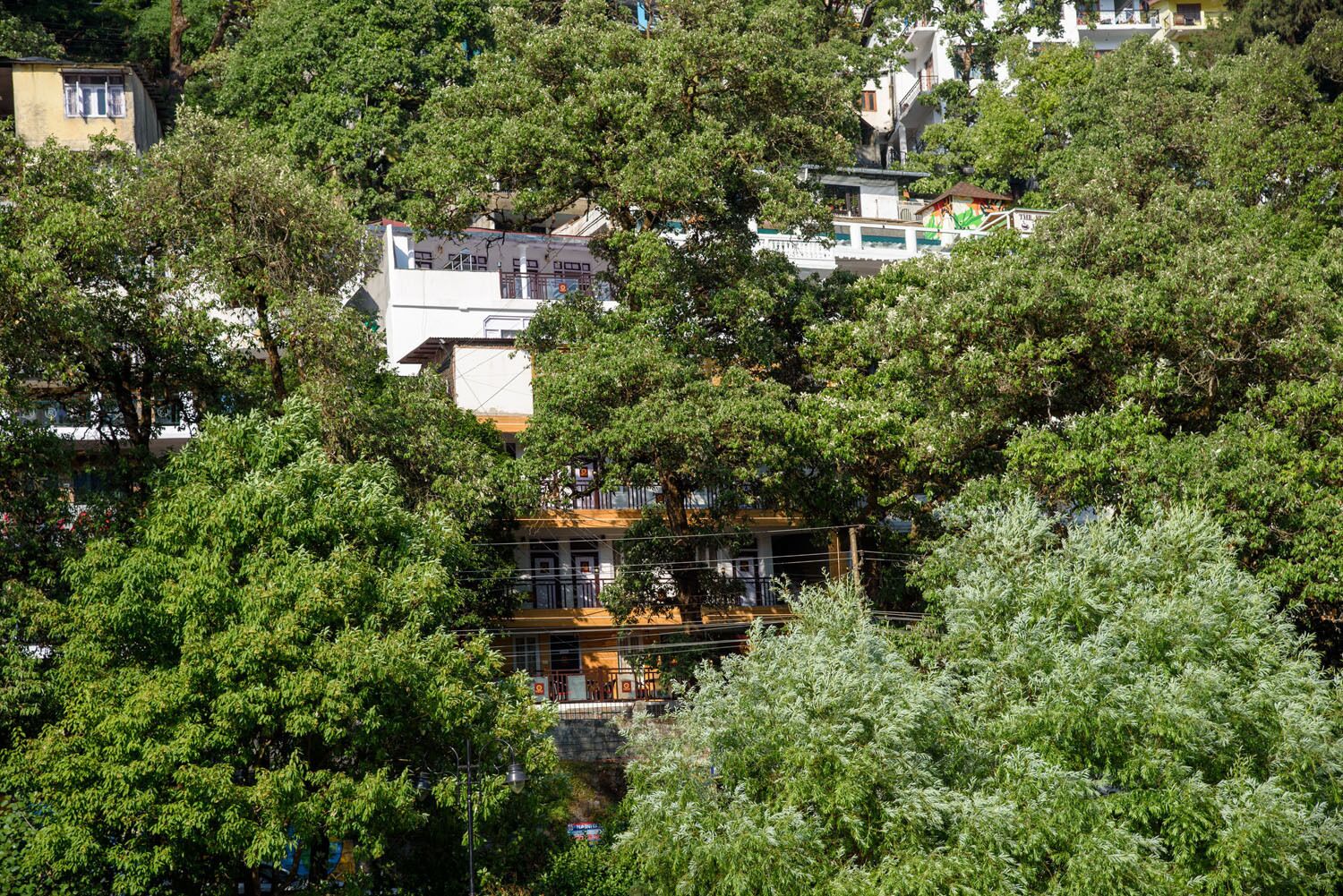 Foxoso Heritage Hotel