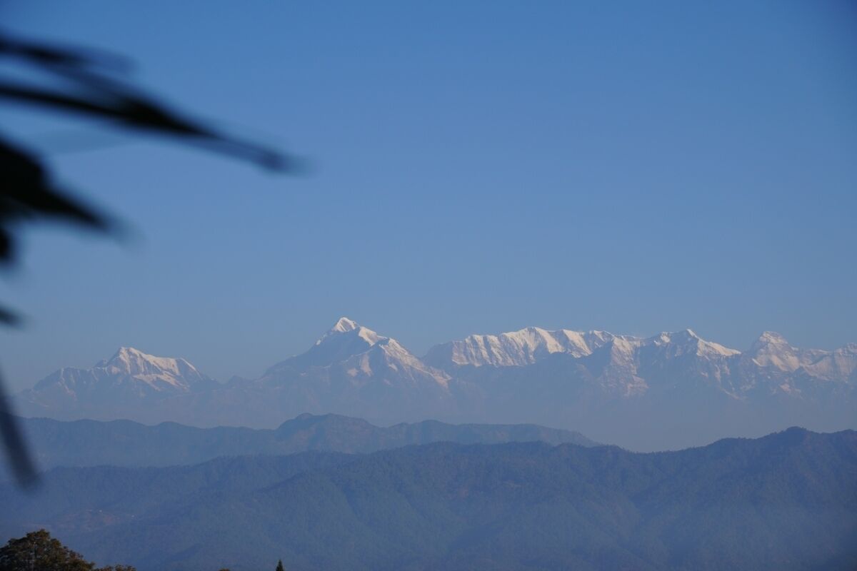 The Dharmas Resort