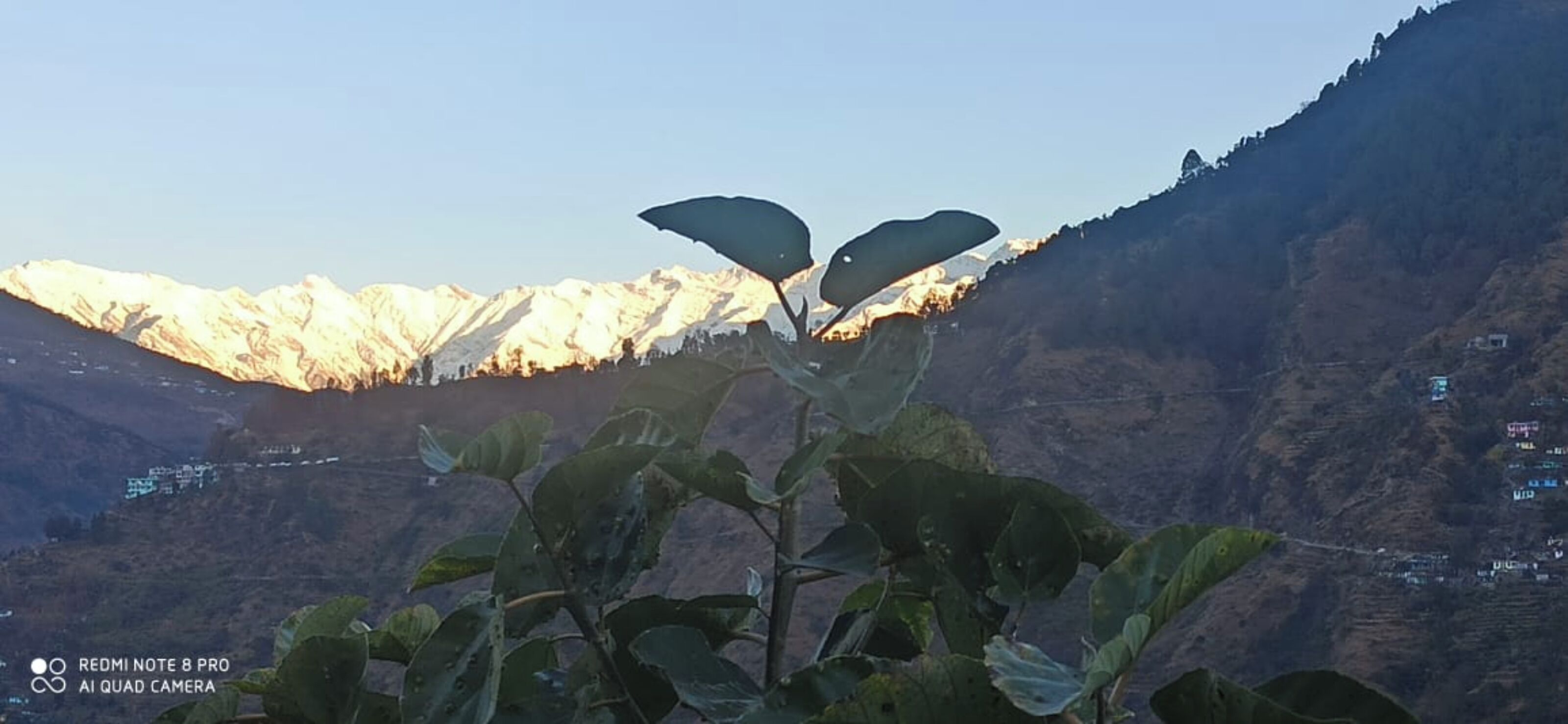 Goroomgo Green Valley Homestay Chopta