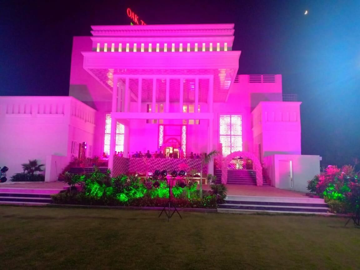 Oak Tree by Golden Plate