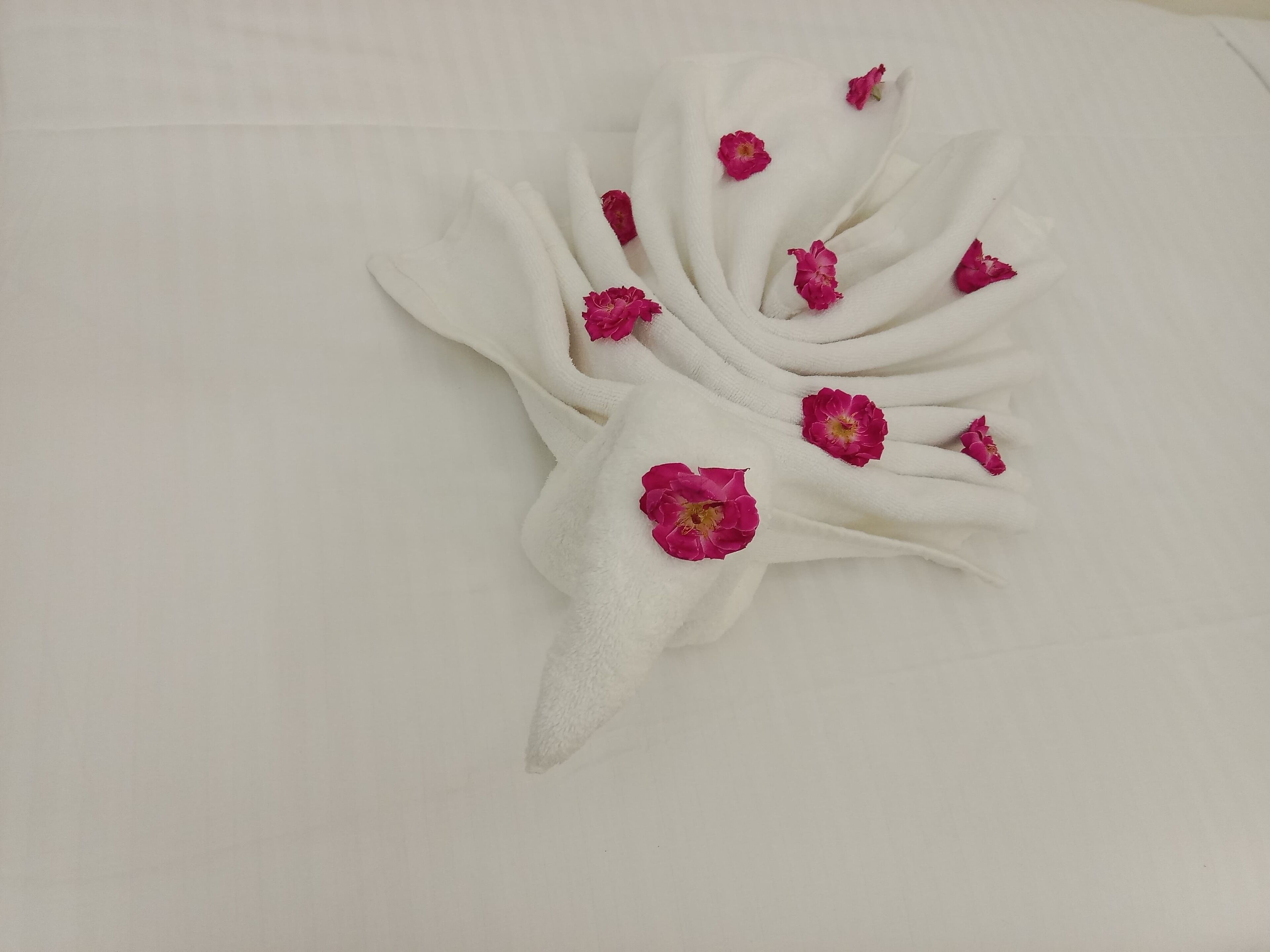 Shree Shivay Namastubhyam Hotel