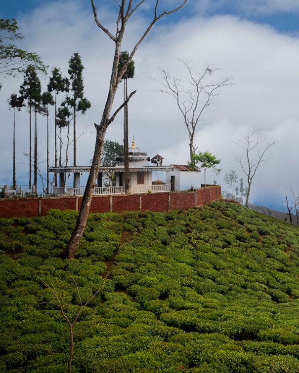 Puttabong Cottage, Darjeeling