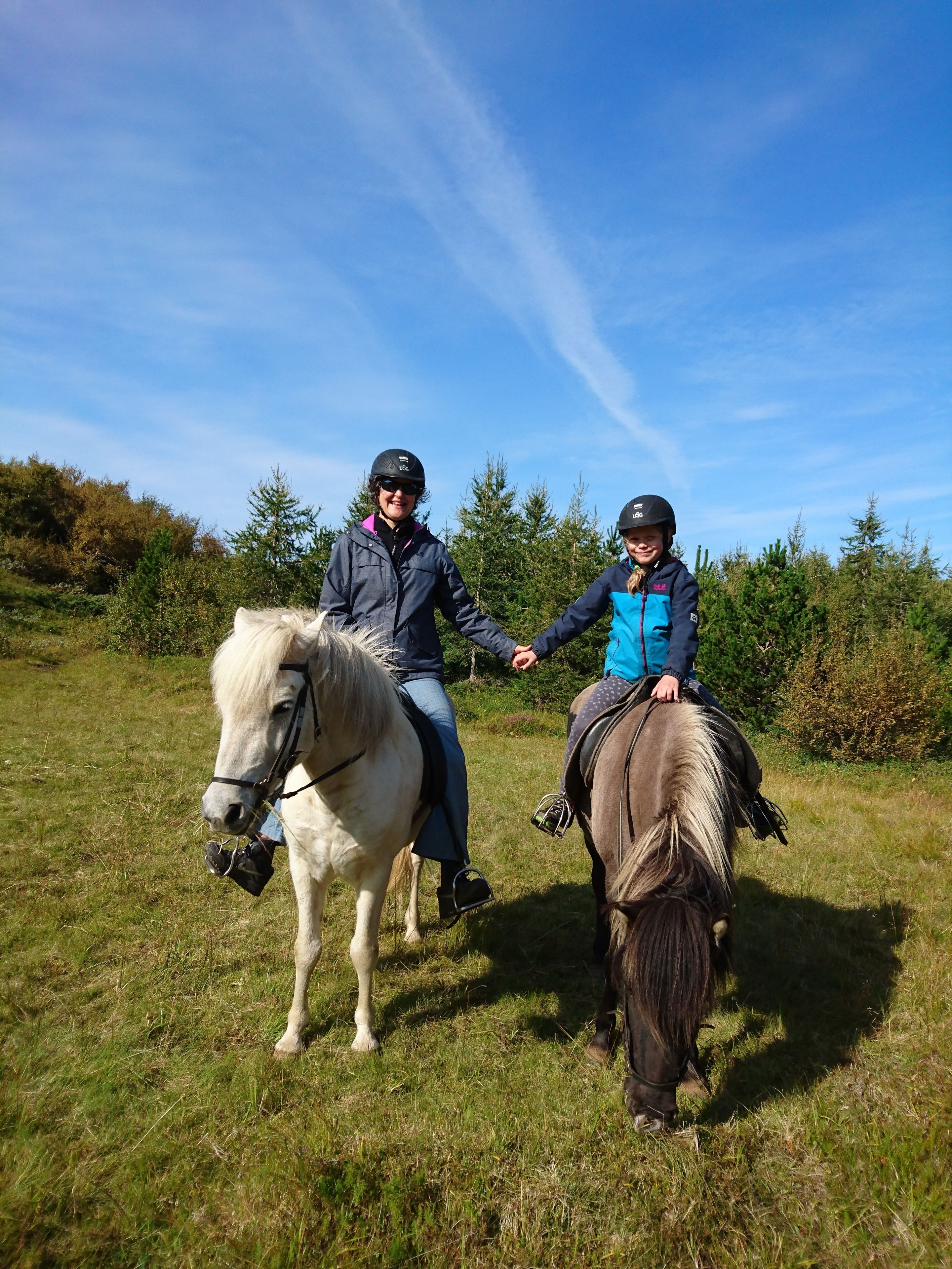 Stora Sandfell Rooms and Cottages