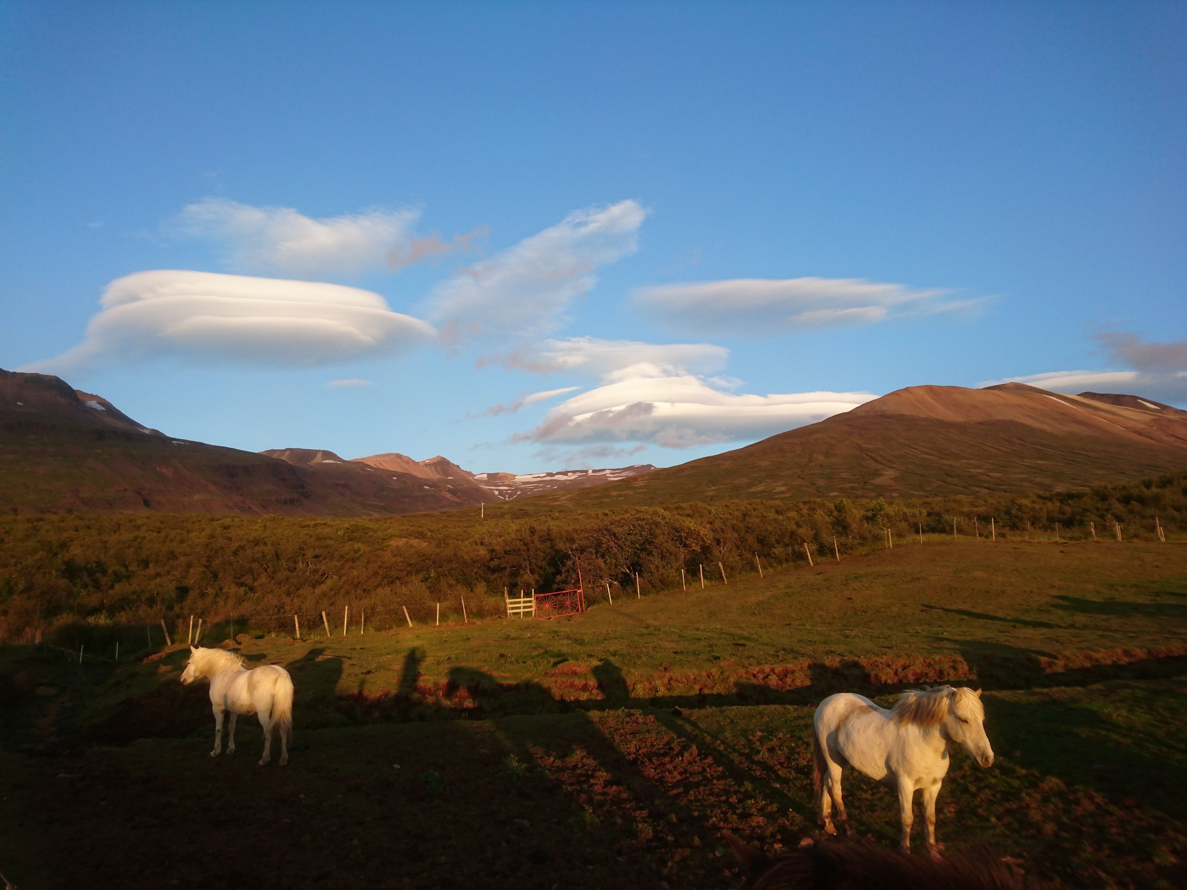 Stora Sandfell Rooms and Cottages