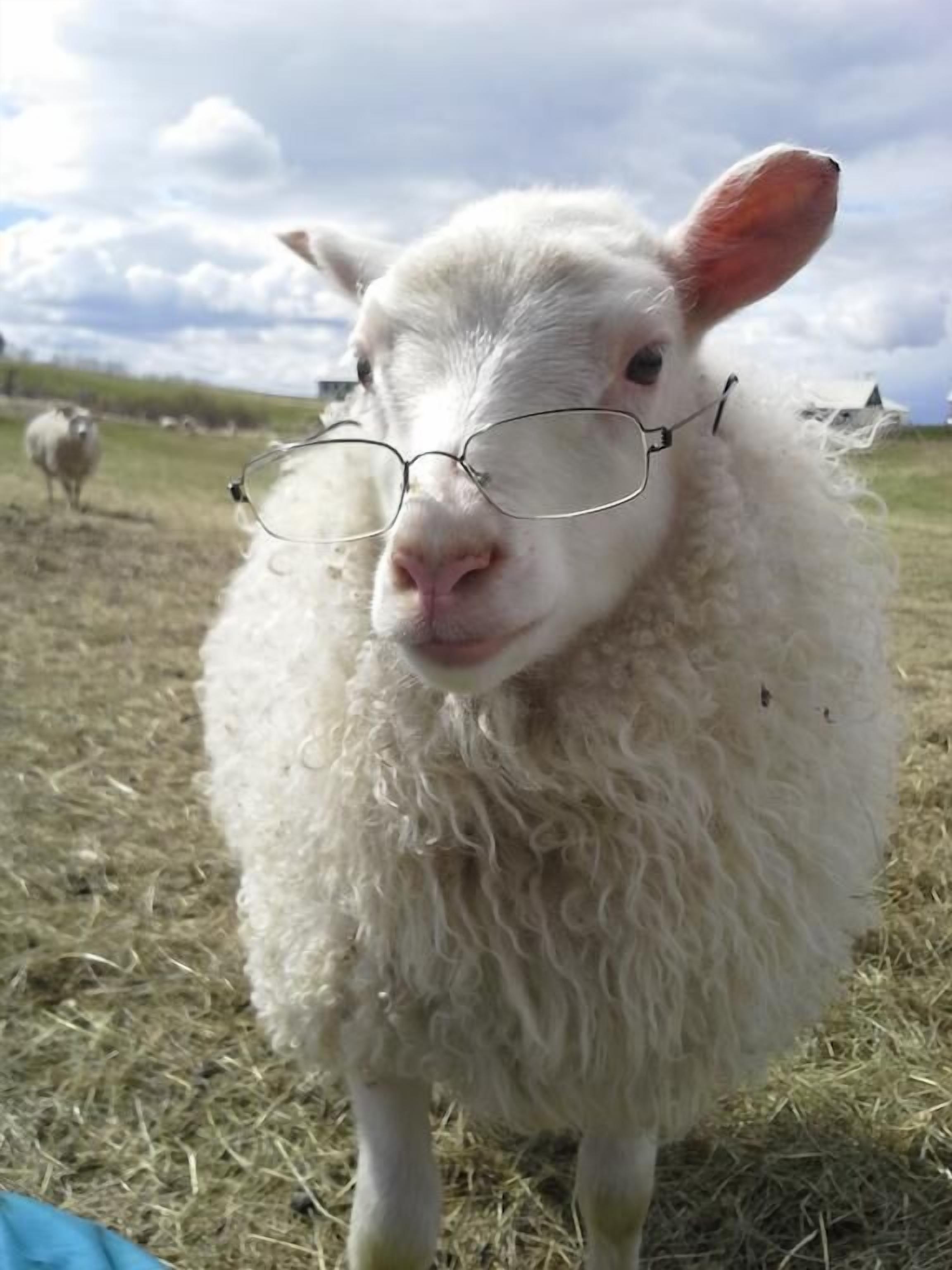 Guesthouse Steindórsstadir