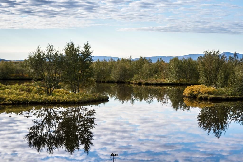 Lake Thingvellir Cottages